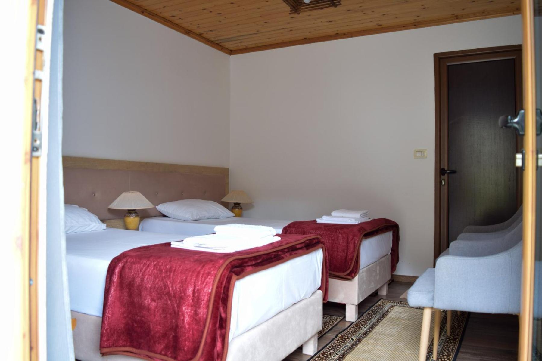 Deluxe Double or Twin Room photo 1