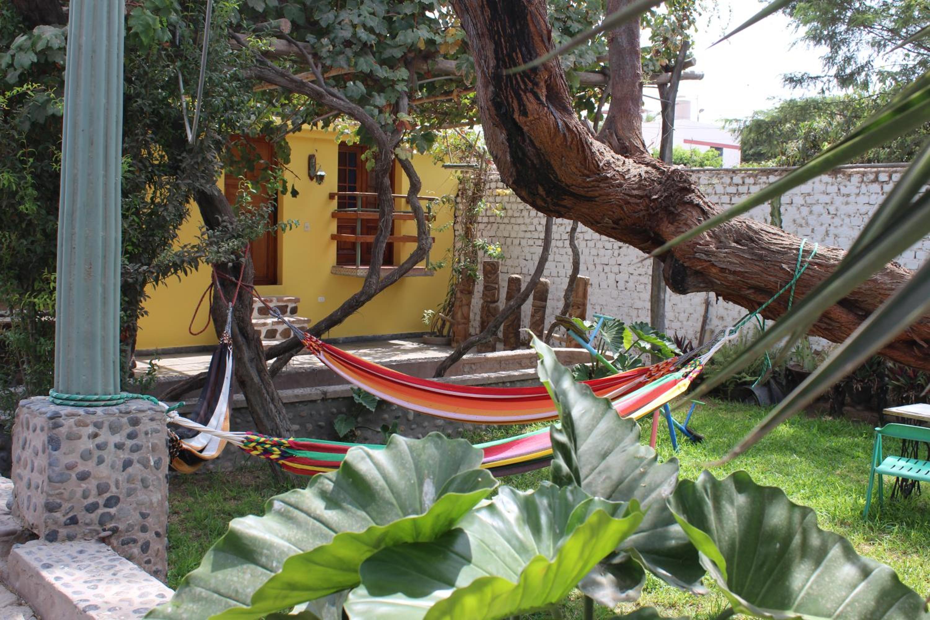 Double Room with Terrace photo 3