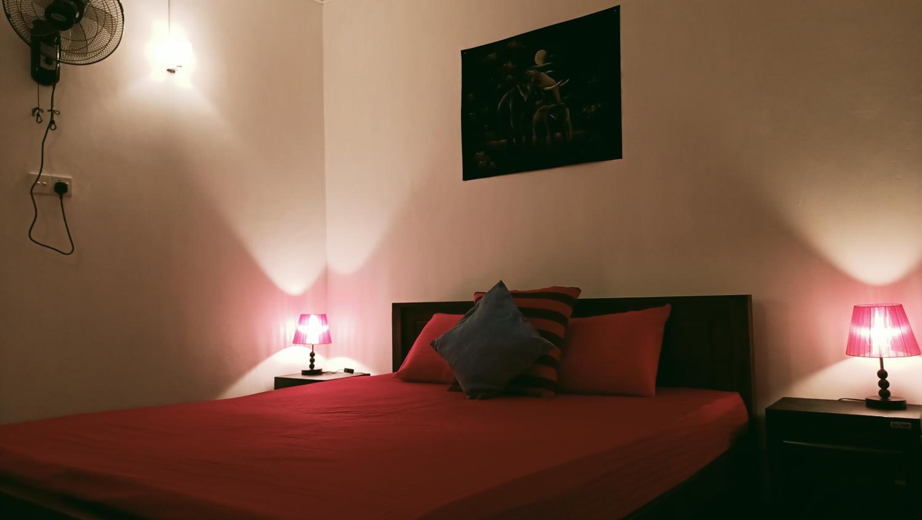 Deluxe Double Room photo 1