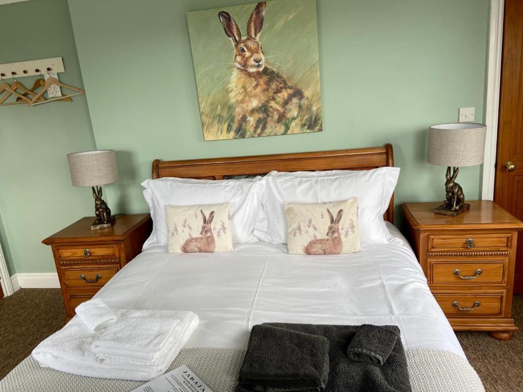 King Room - Photo 1
