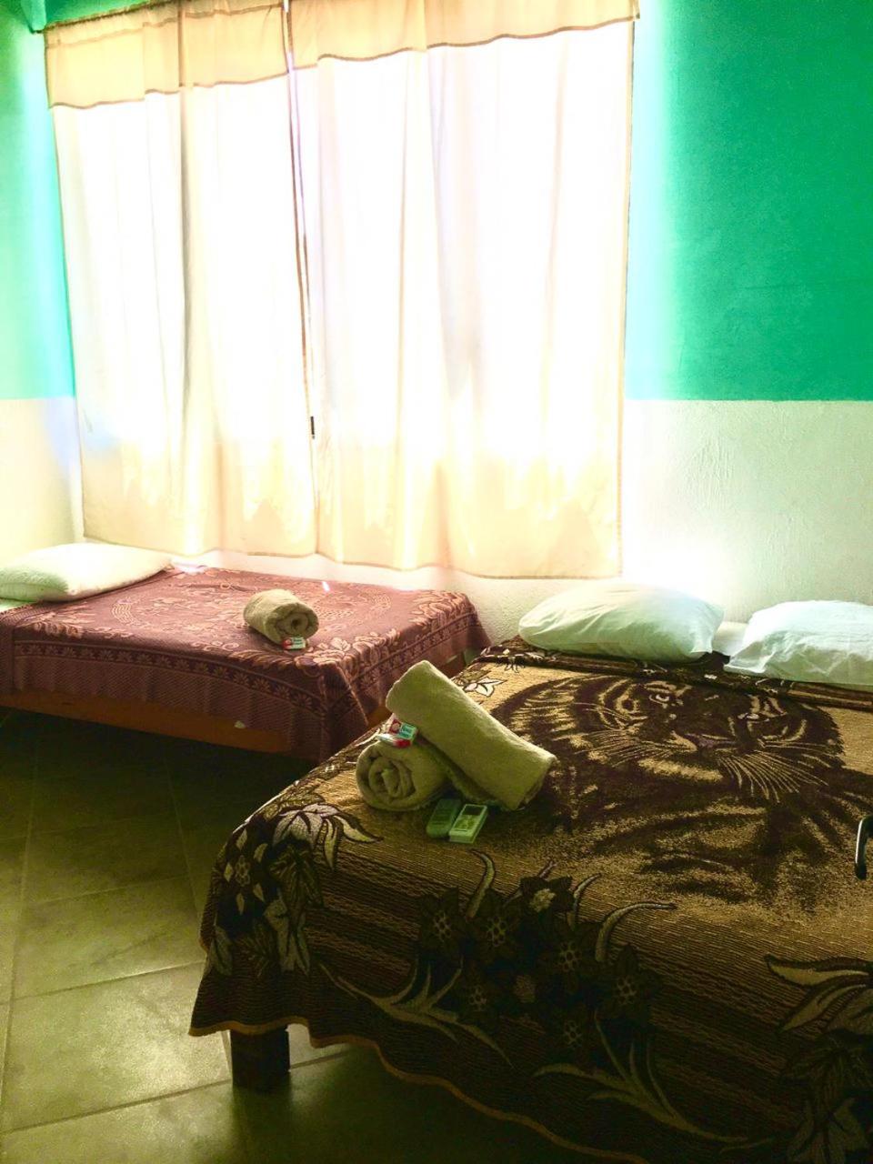 Basic Triple Room - Photo 4