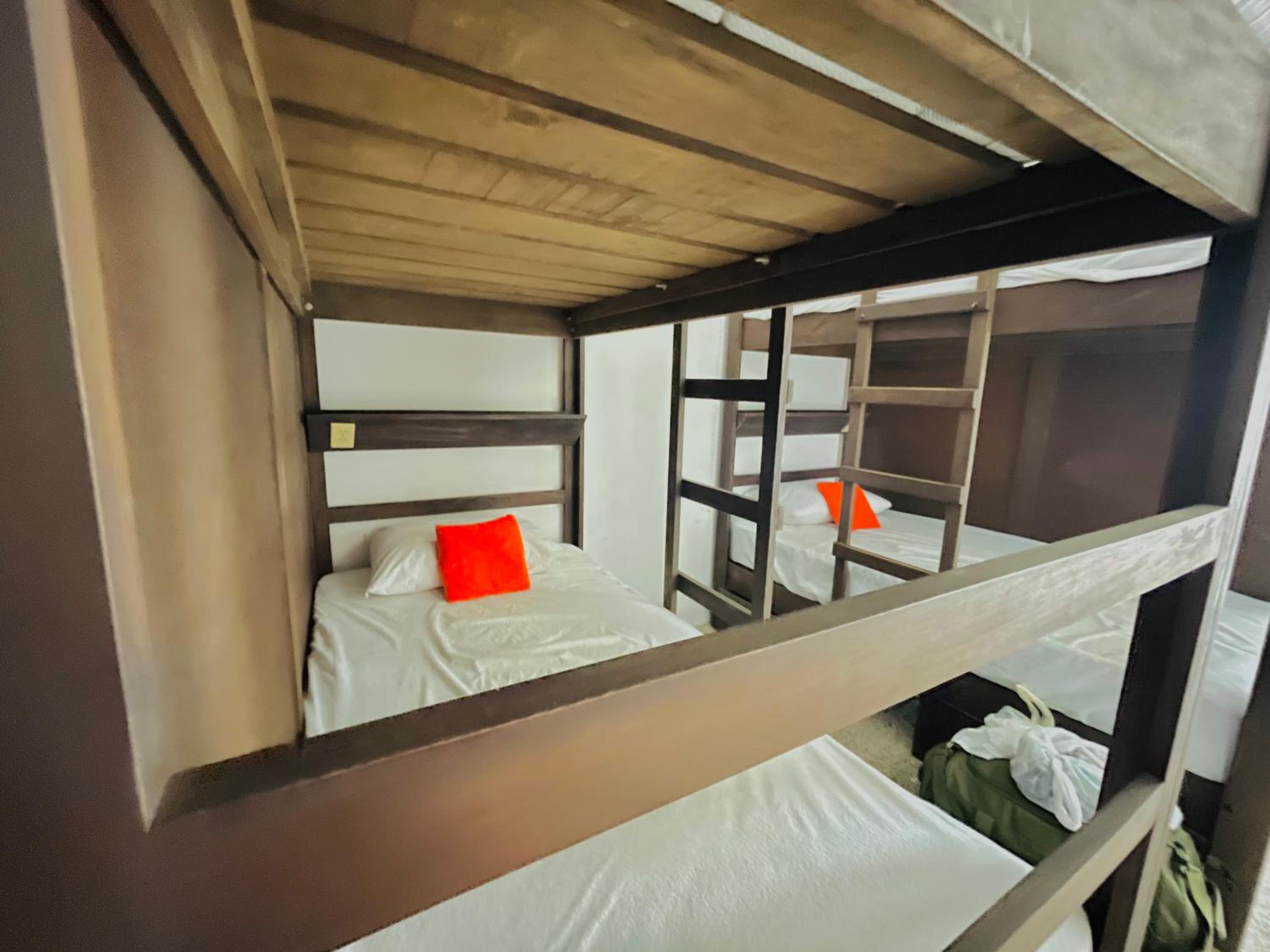 Single Bed in 8-Bed Dormitory Room - Frida