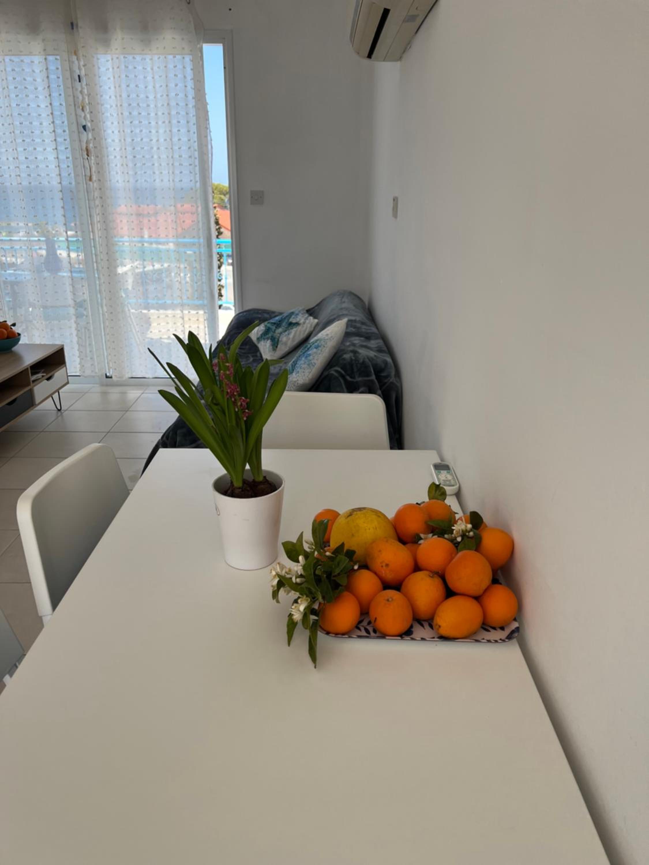 Apartment with Sea View photo 2