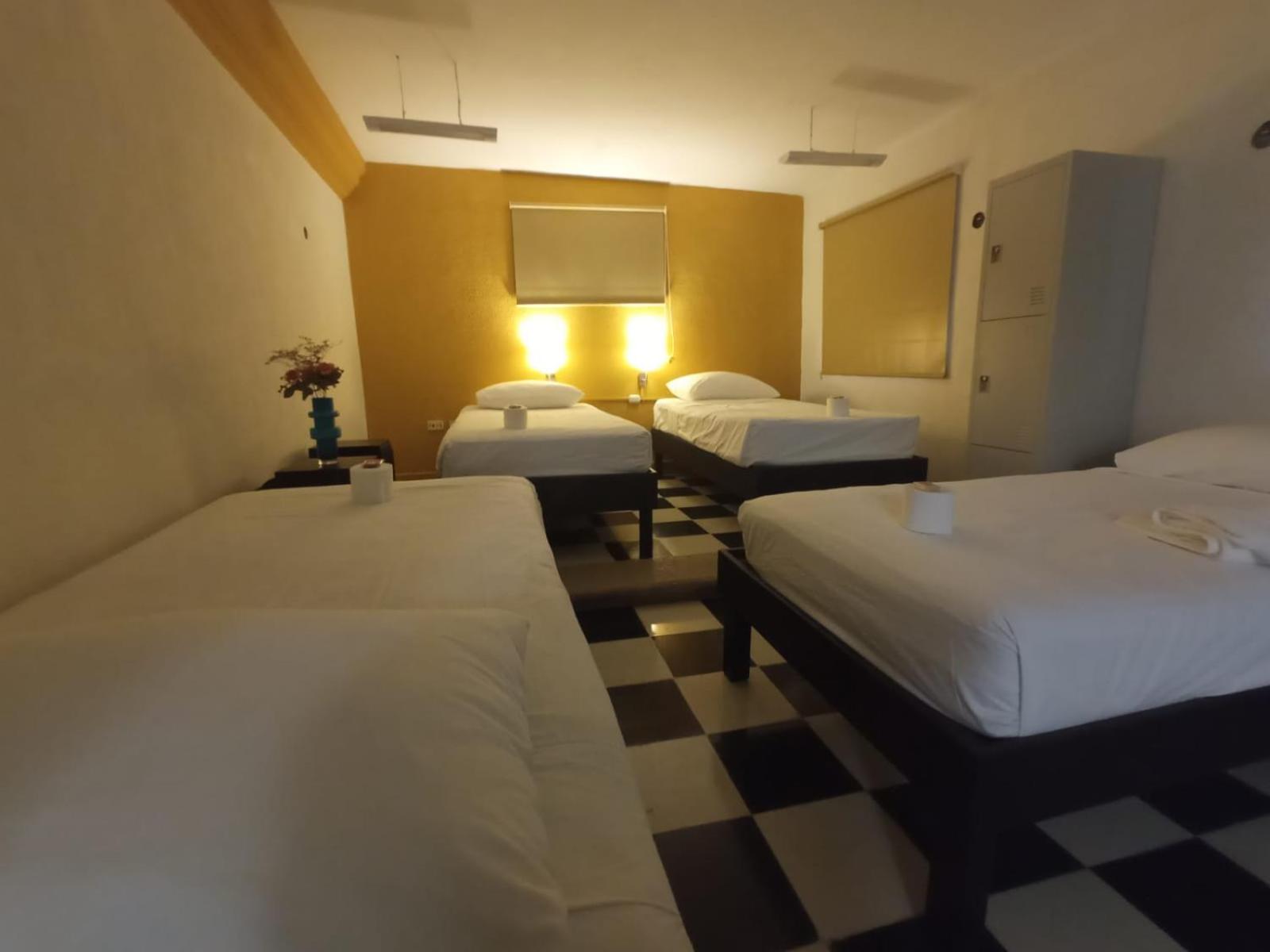 Single Bed In 10-Bed Dormitory Room photo 3