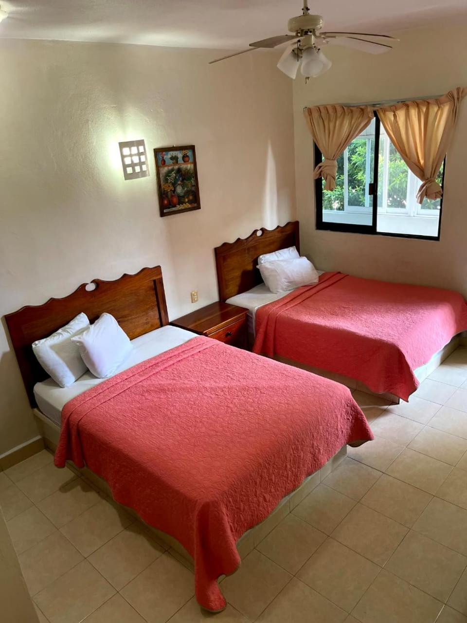 Twin Room photo 2