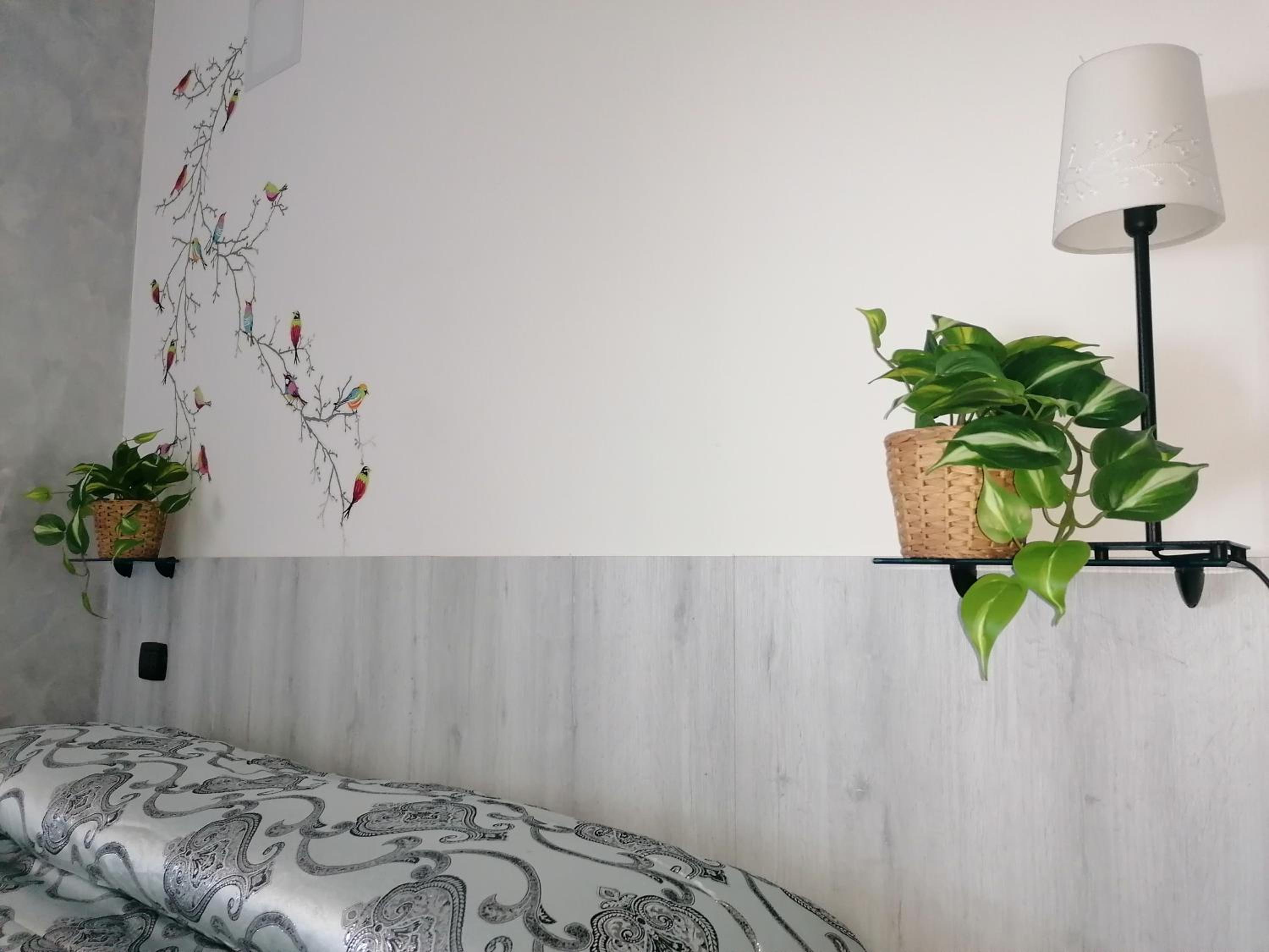 Deluxe Room - Photo 8