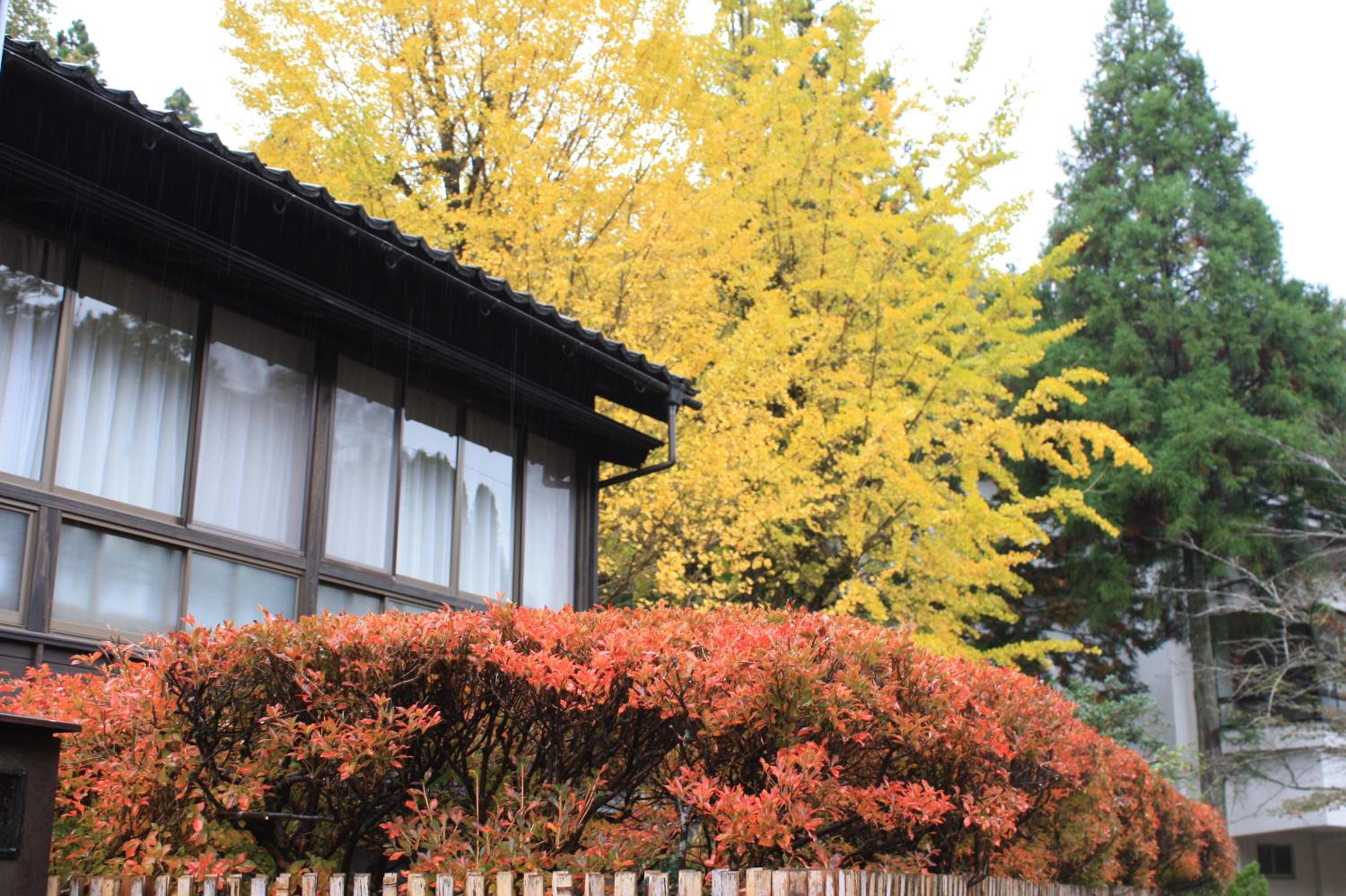 Japanese-Style Deluxe Corner Twin Room with Private Toilet photo 3