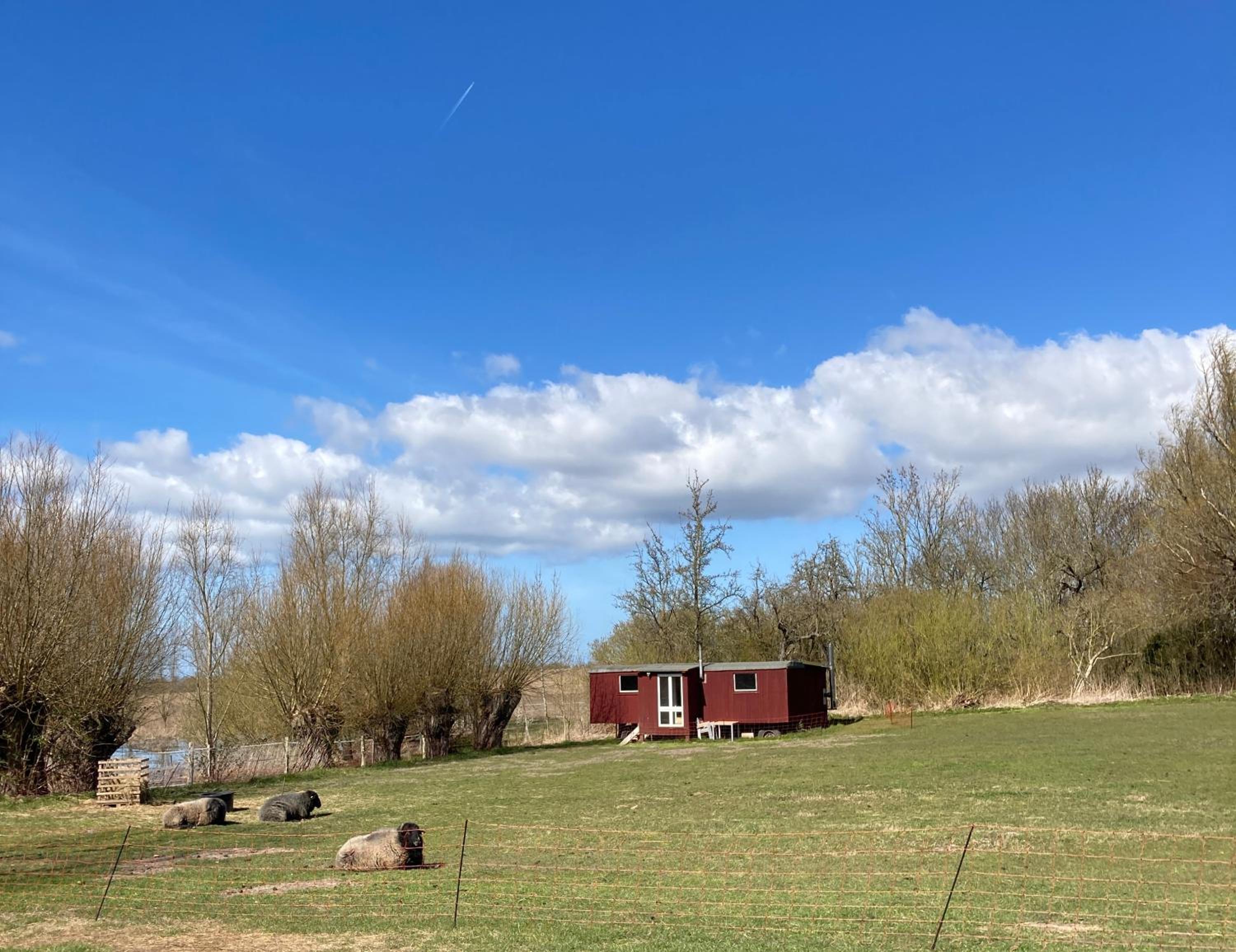 Mobile Home photo 3