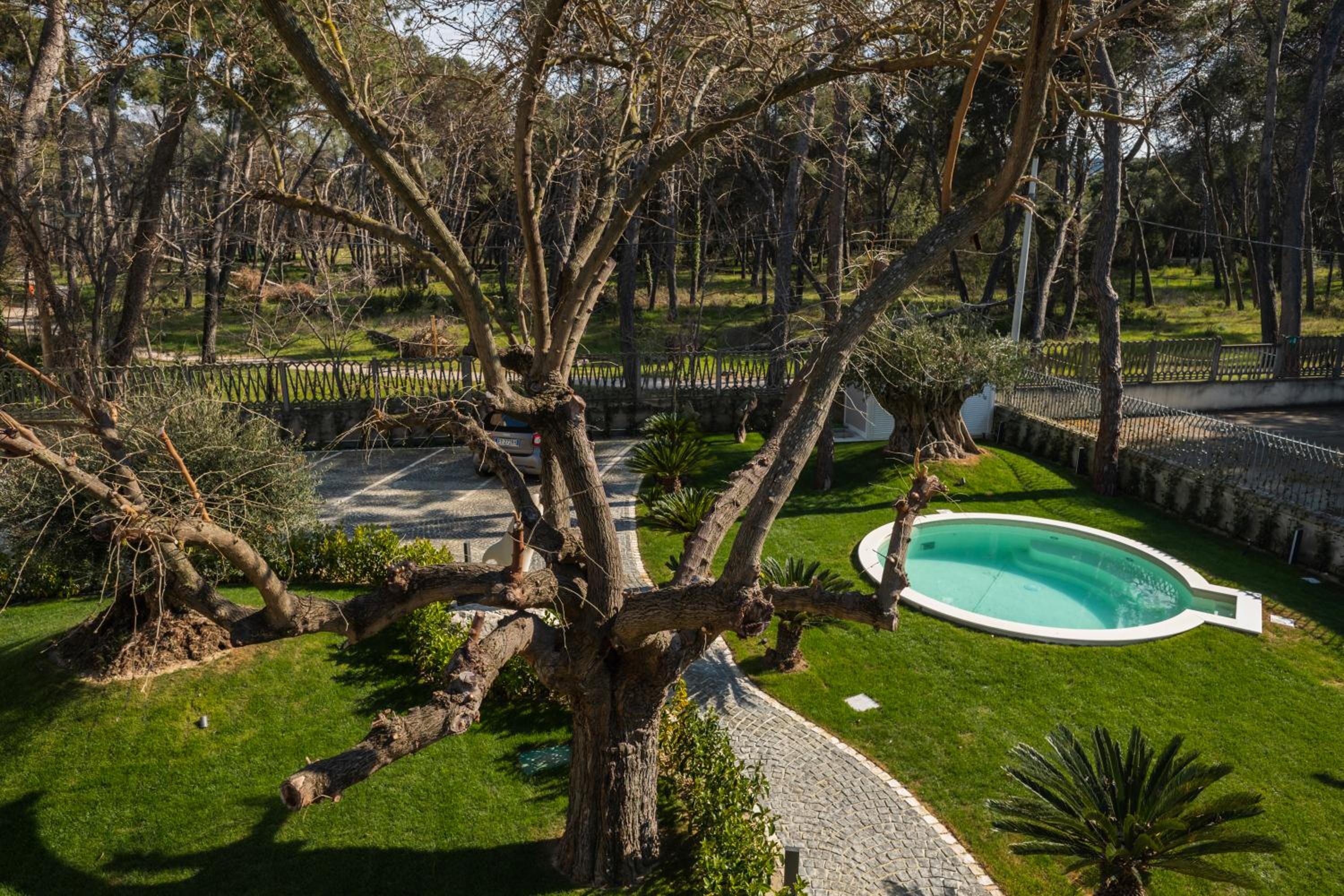 Queen Room with Pool View - Photo 7