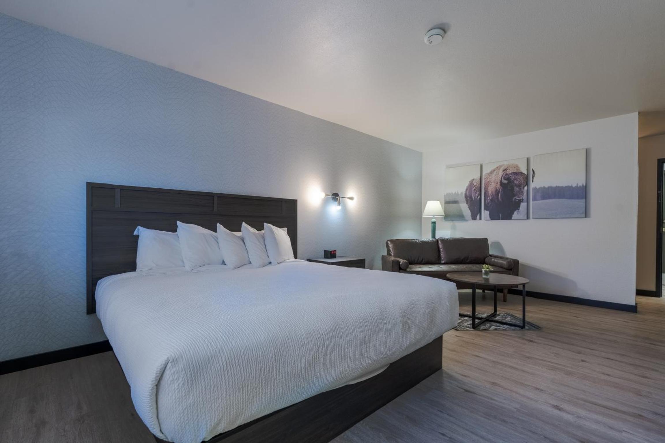 Deluxe King Suite - Photo 6