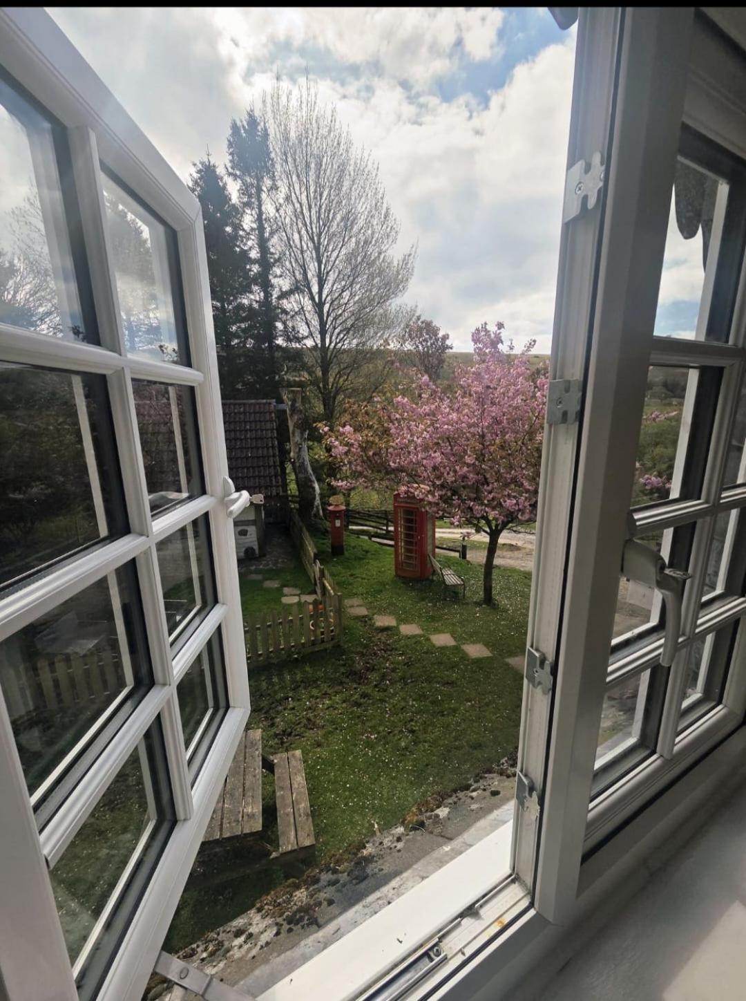 Apartment with Garden View