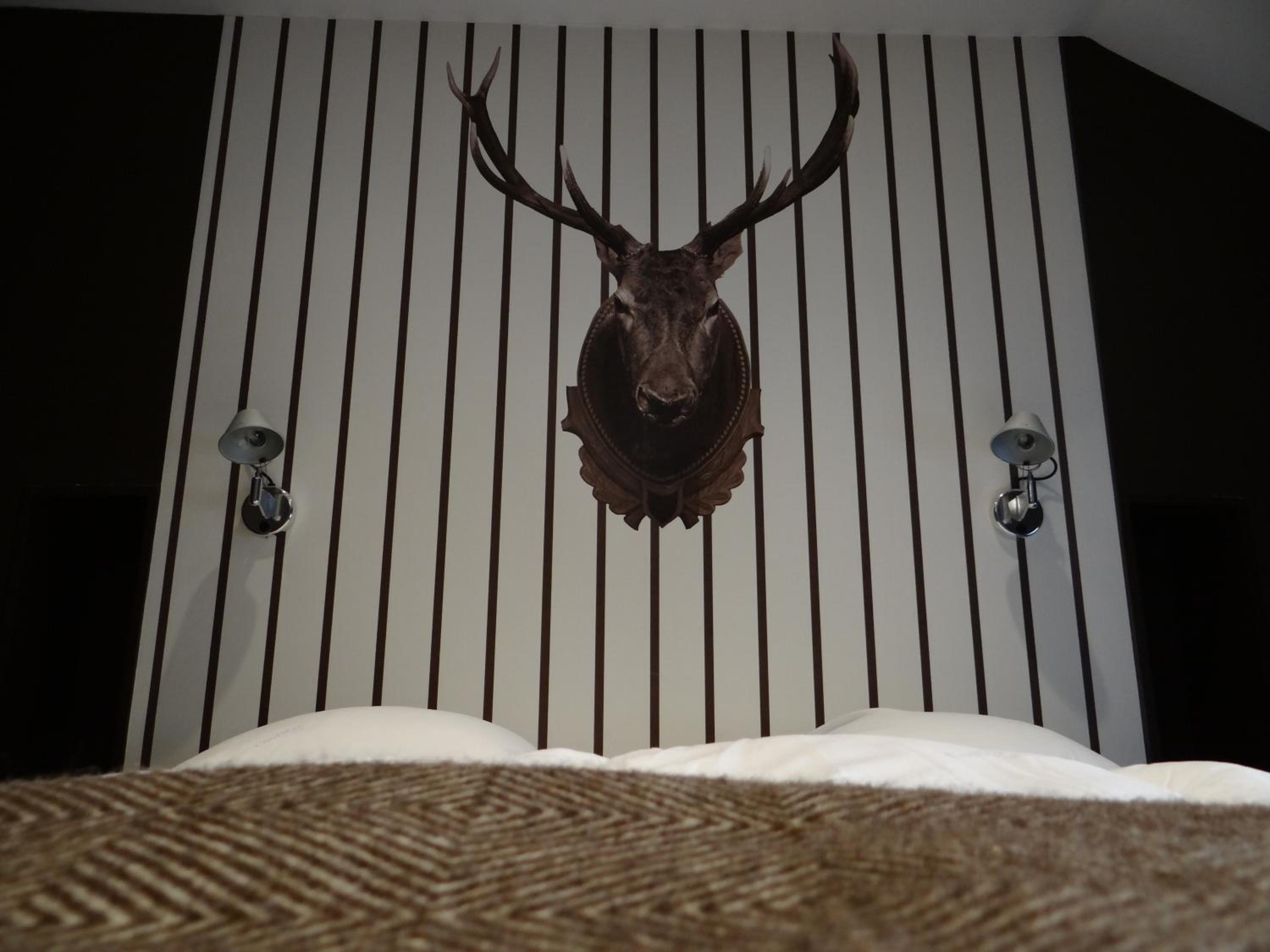 Superior Double Room photo 3