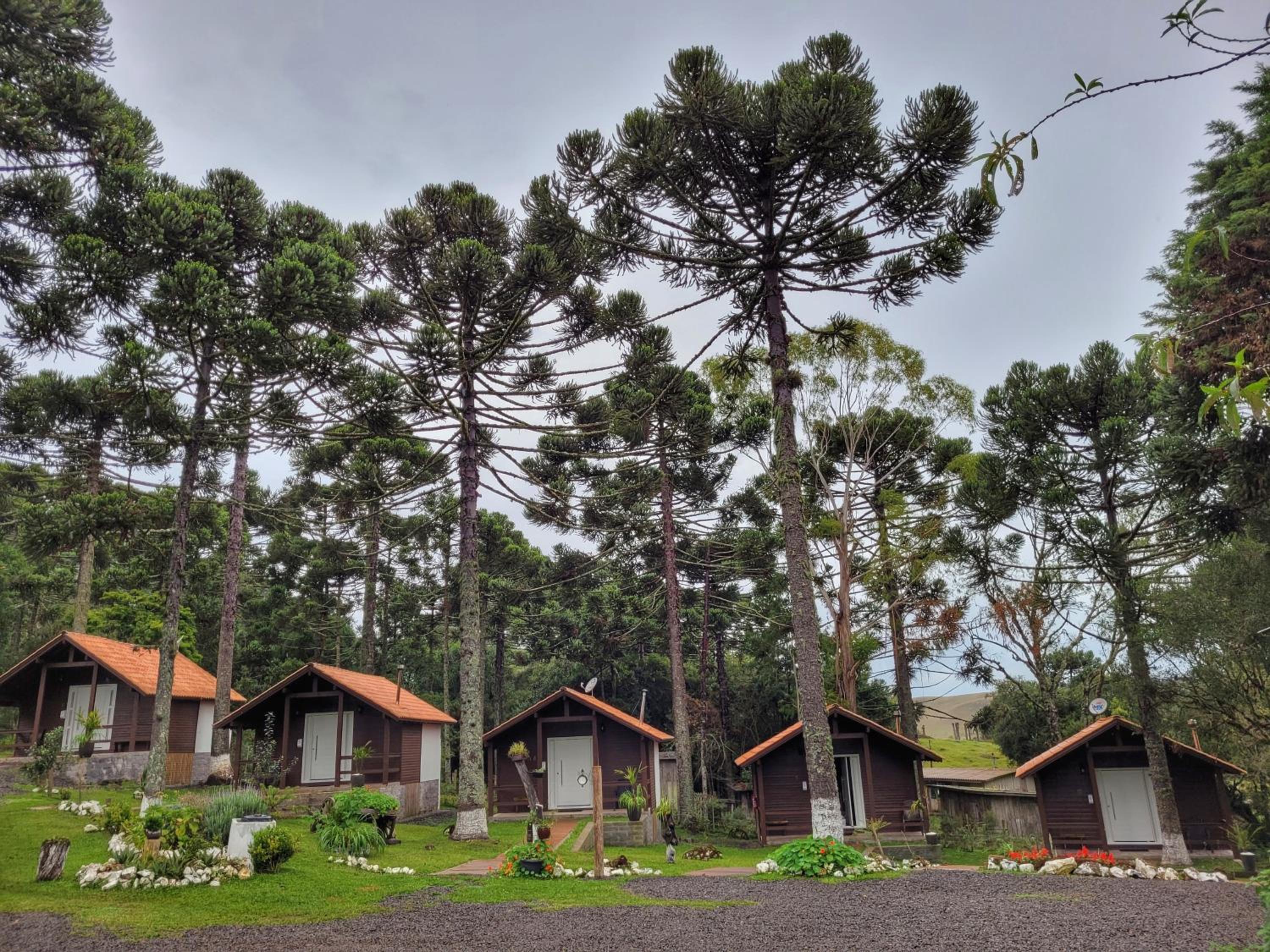 Superior Chalet - Photo 2