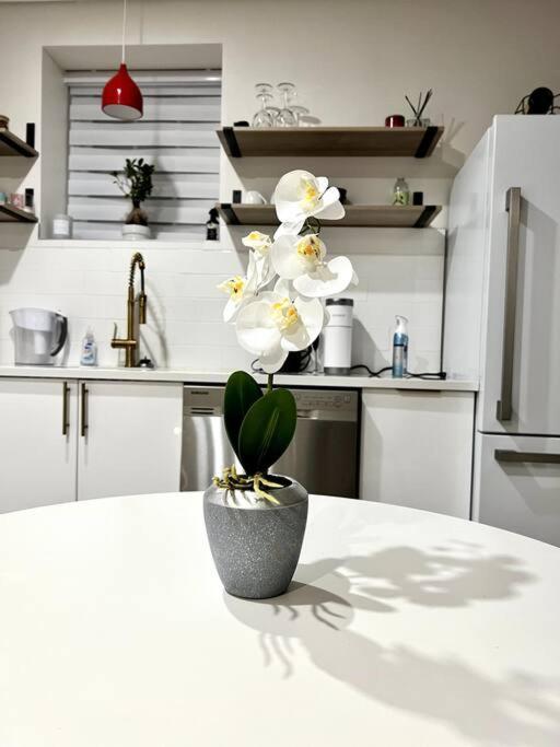One-Bedroom Apartment - Photo 5