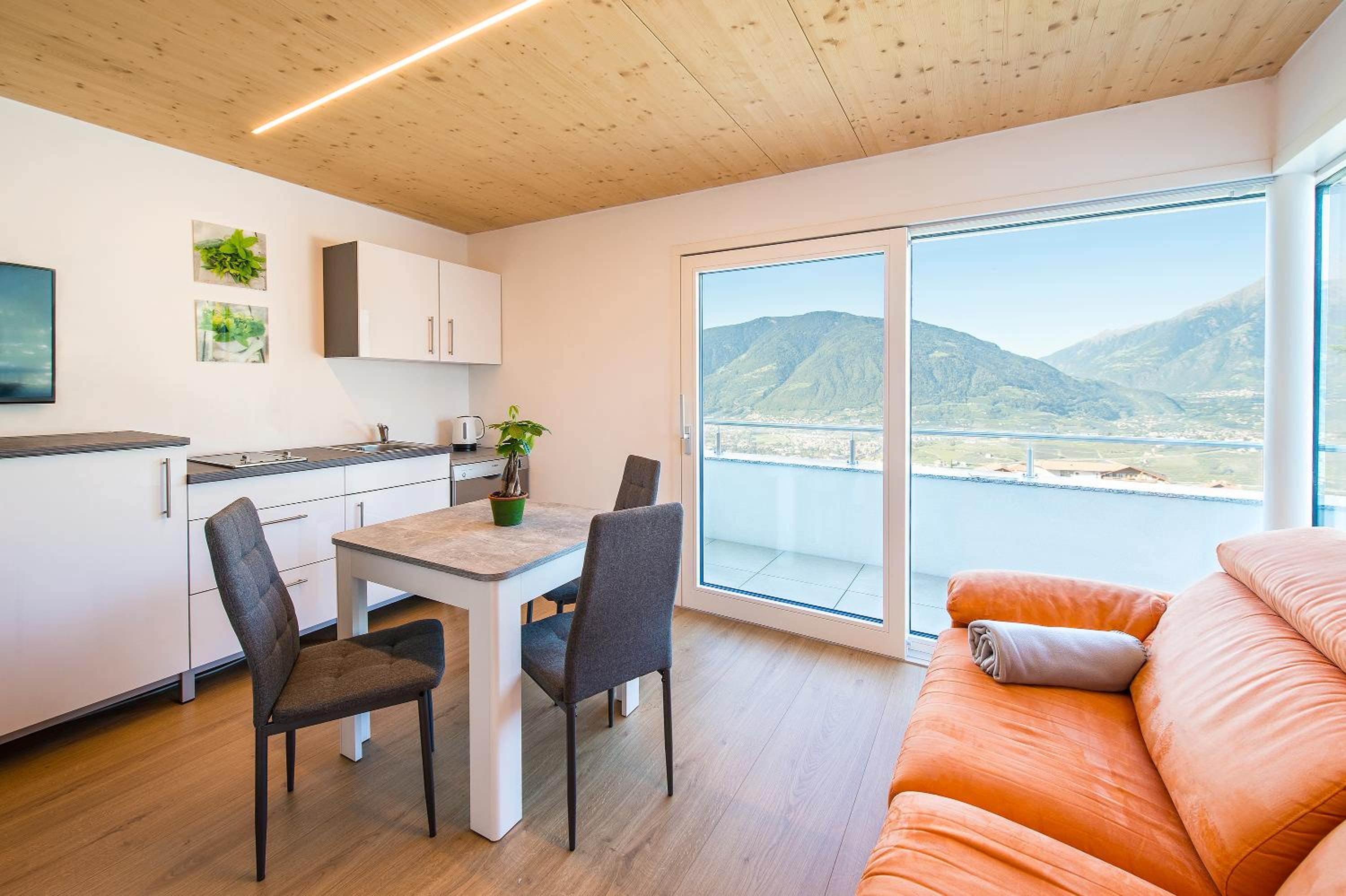 Apartment with Terrace