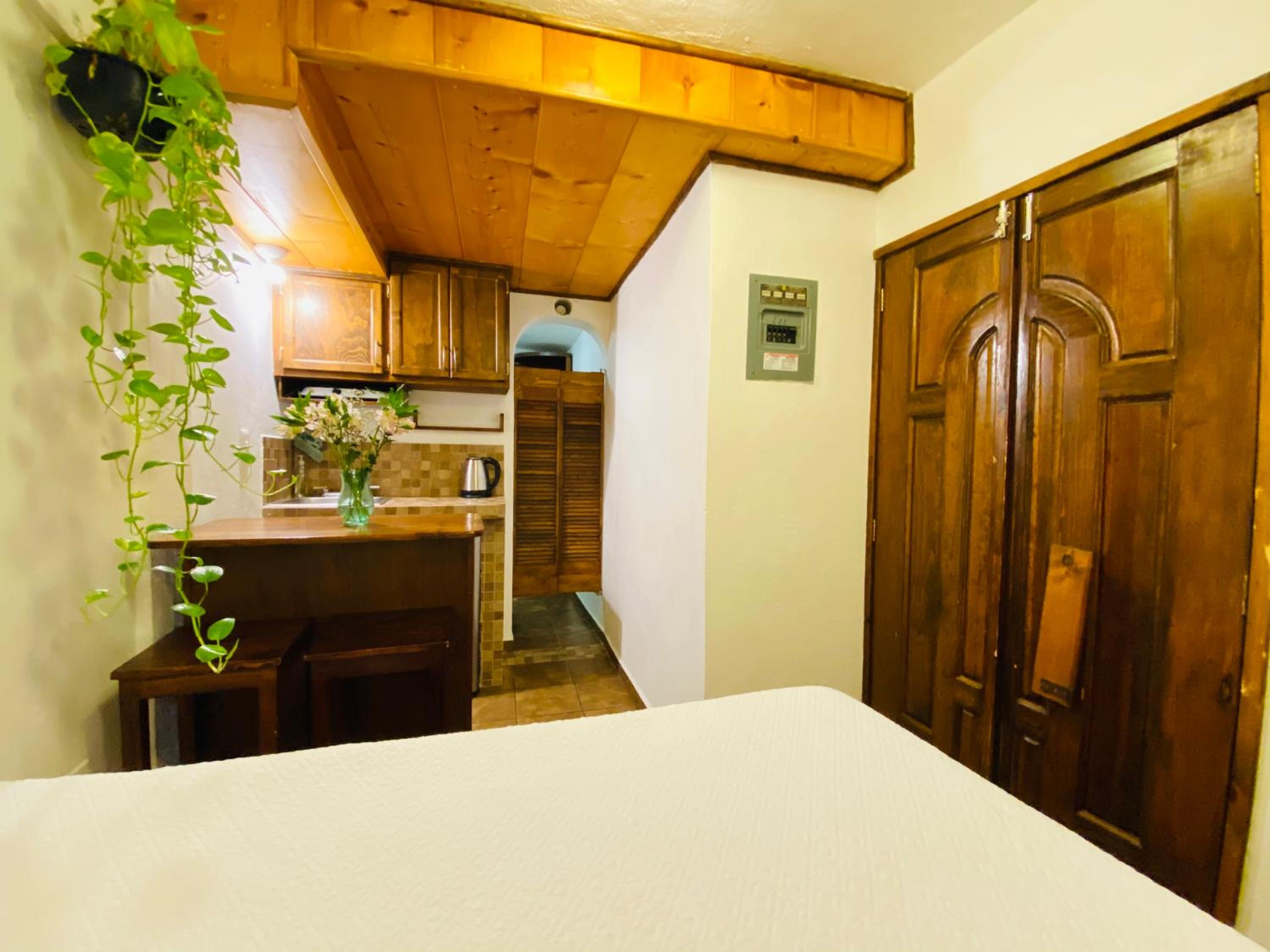 Studio with Garden View - Photo 7