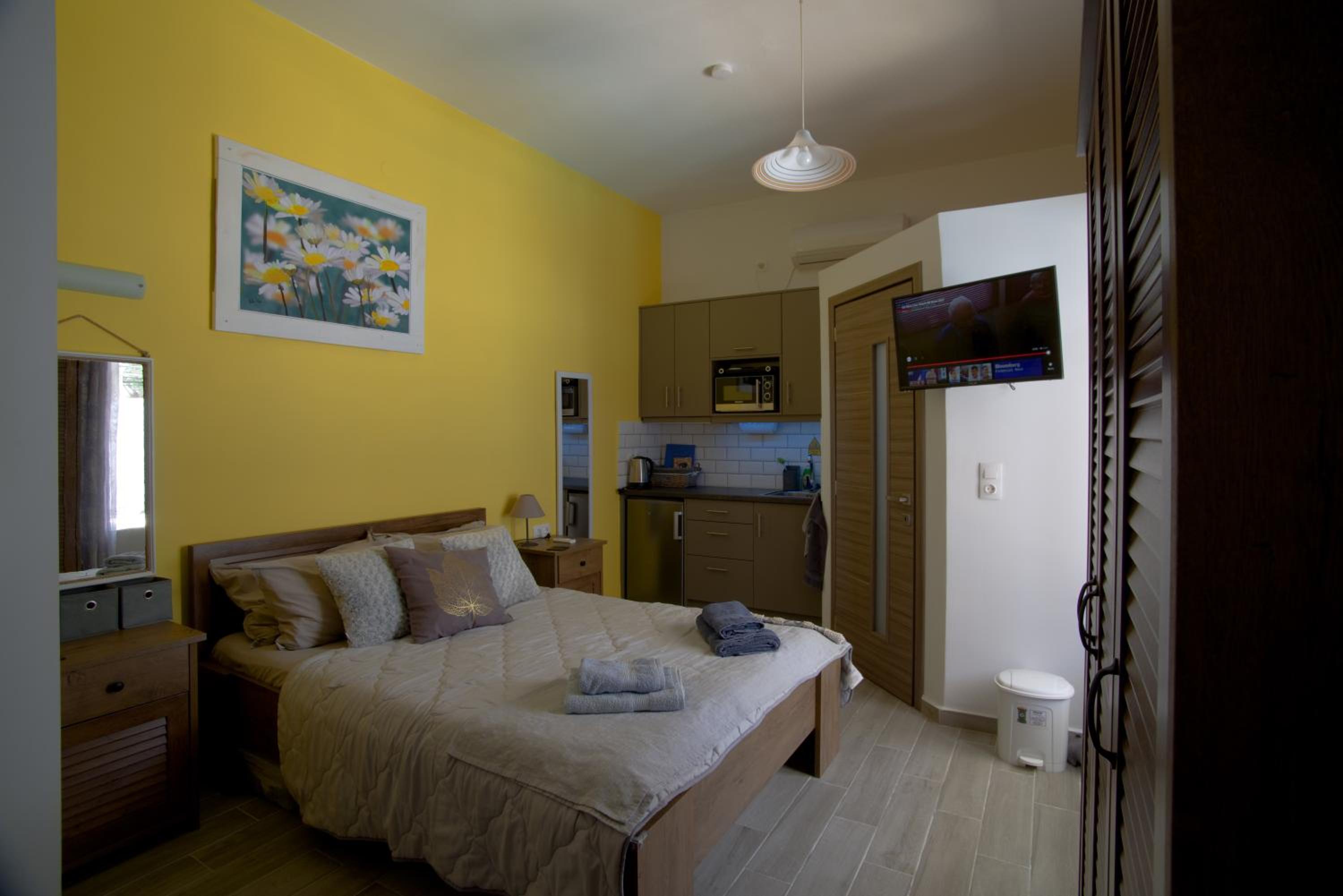 Studio with Terrace photo 1