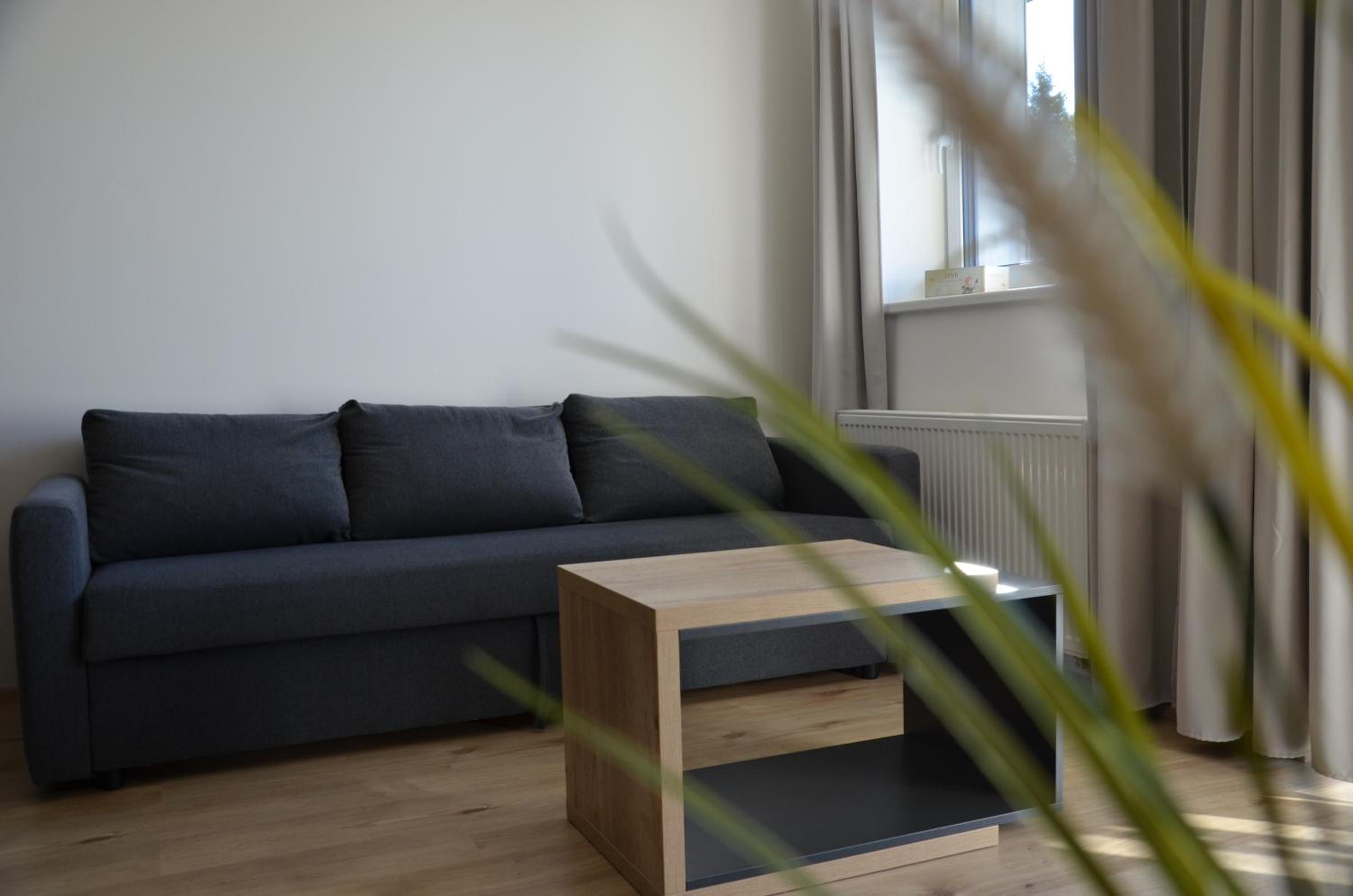 Superior Apartment with Sauna photo 1