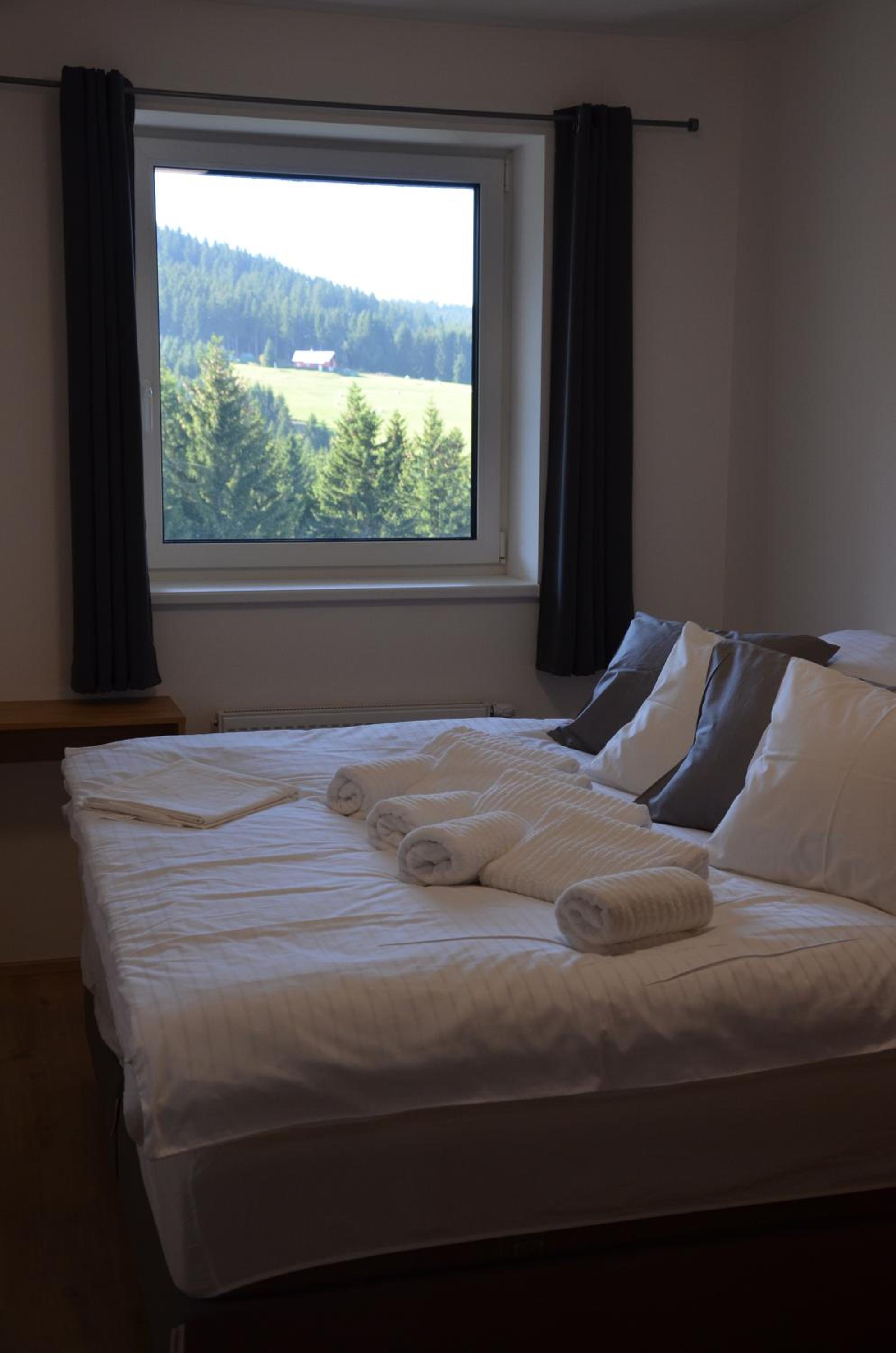 Superior Apartment with Sauna photo 1