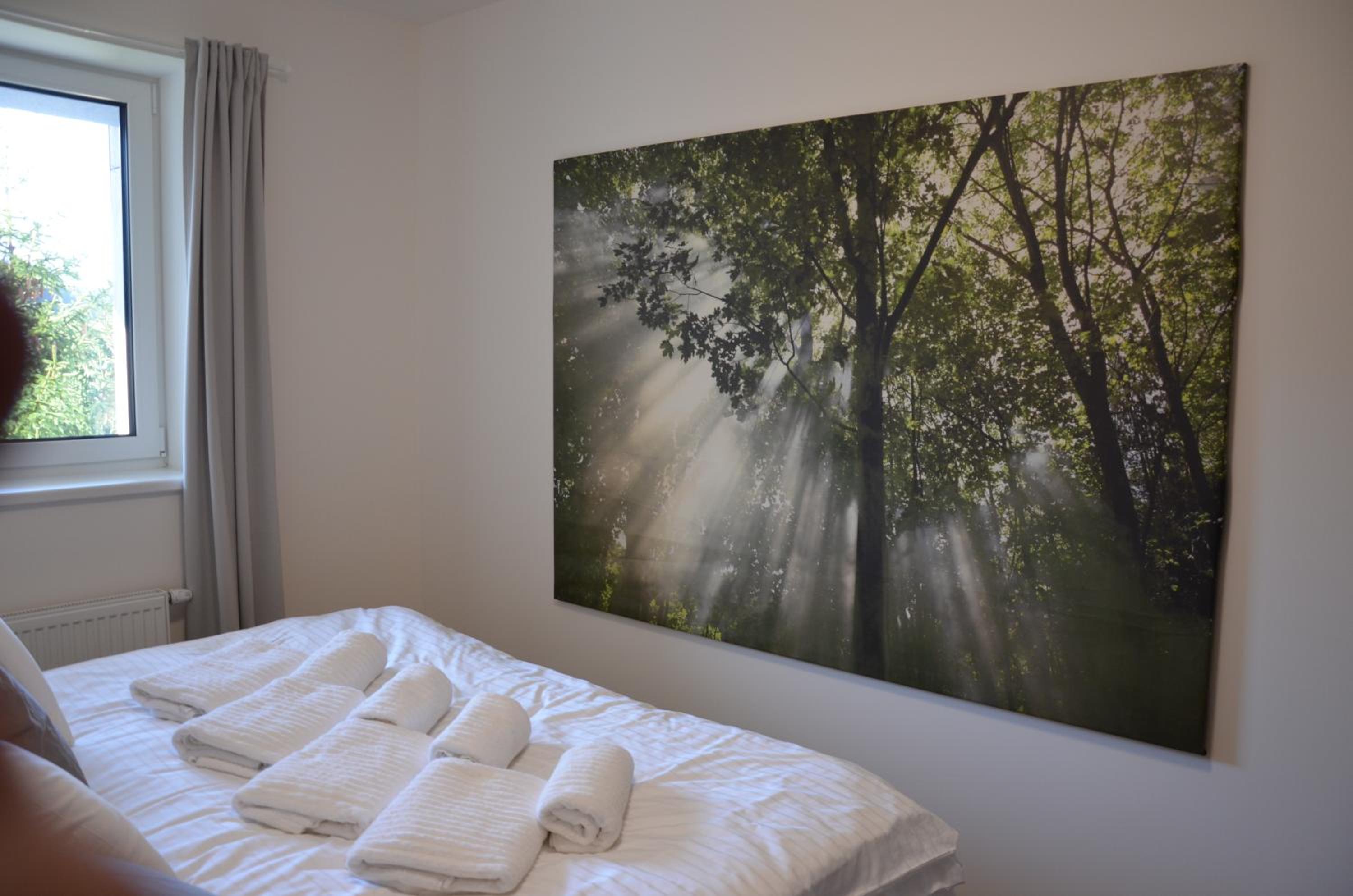 Superior Apartment with Sauna photo 3