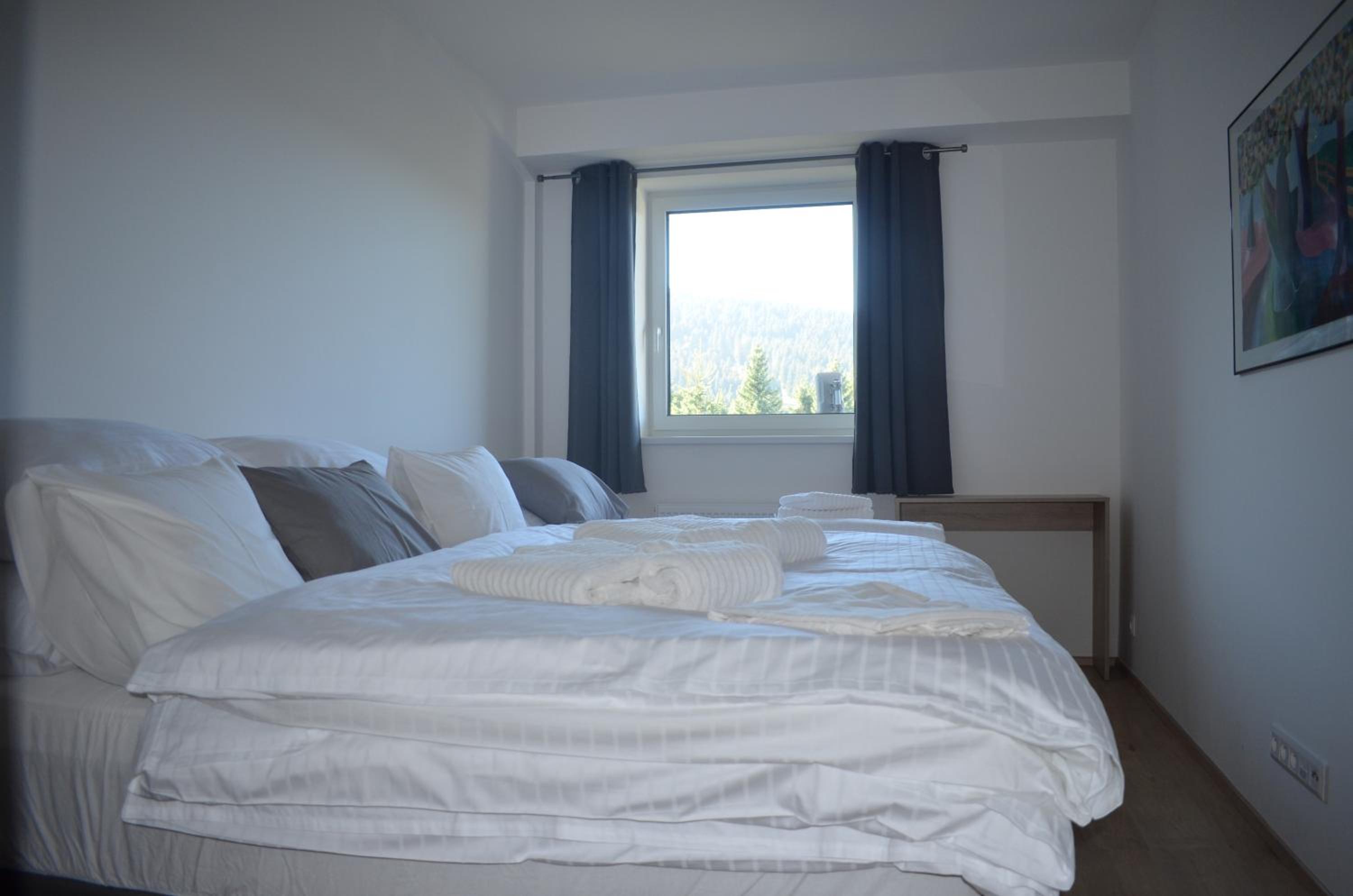 Superior Apartment with Sauna photo 3