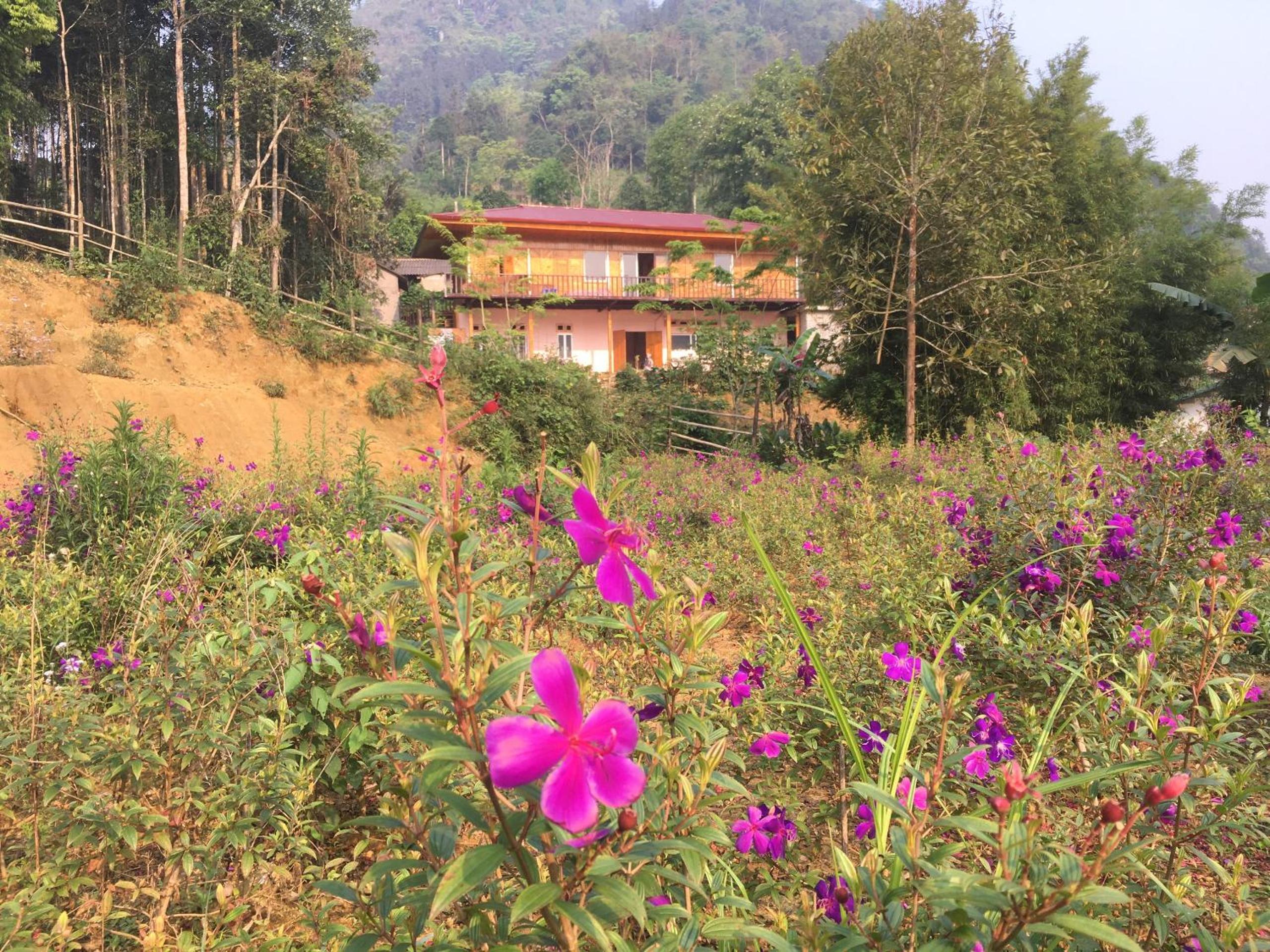 Double Room with Mountain View photo 3