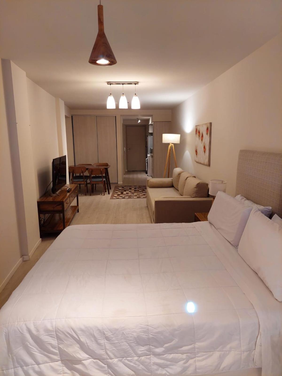 Studio Apartment photo 2