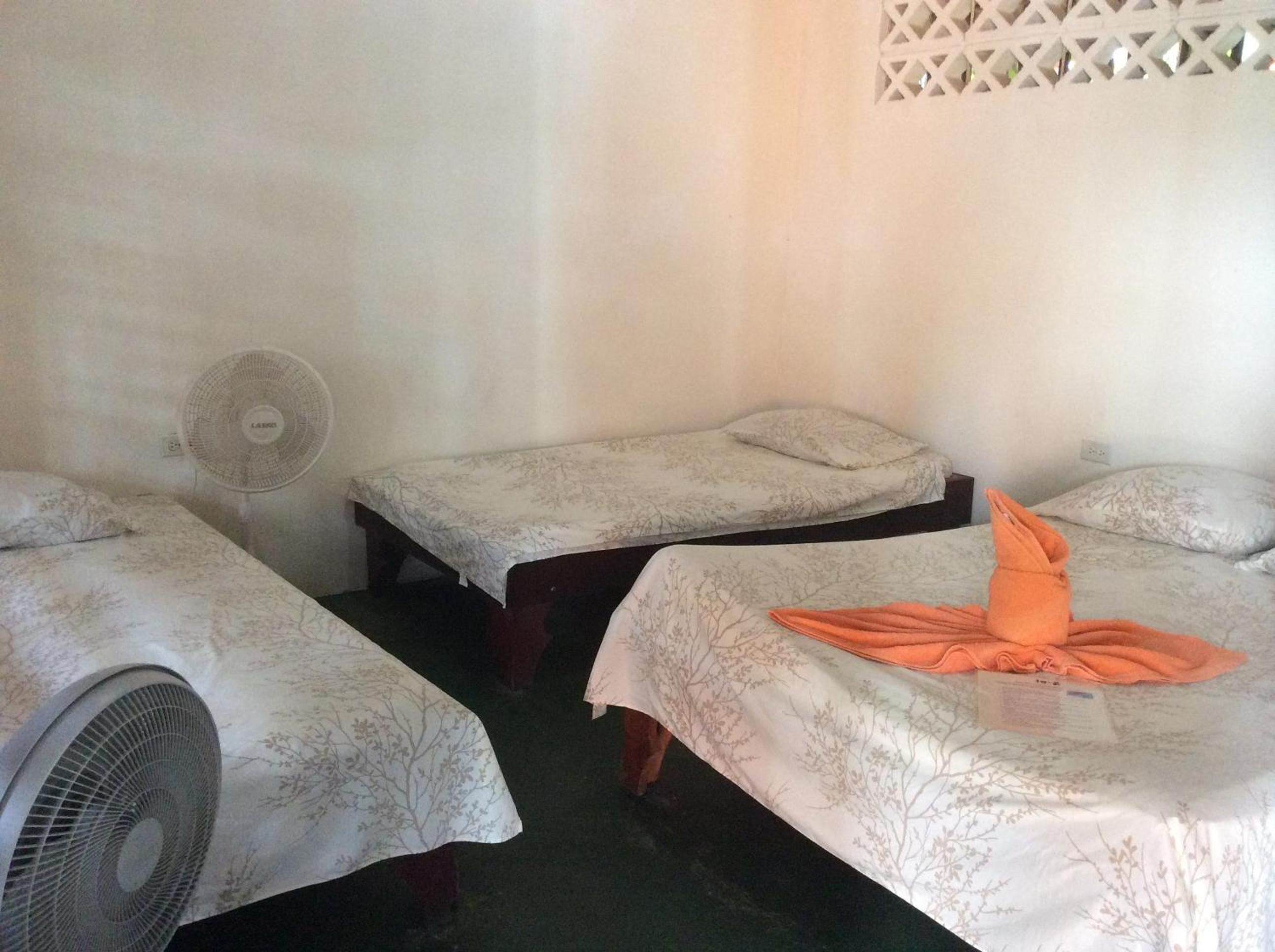 Triple Room photo 1