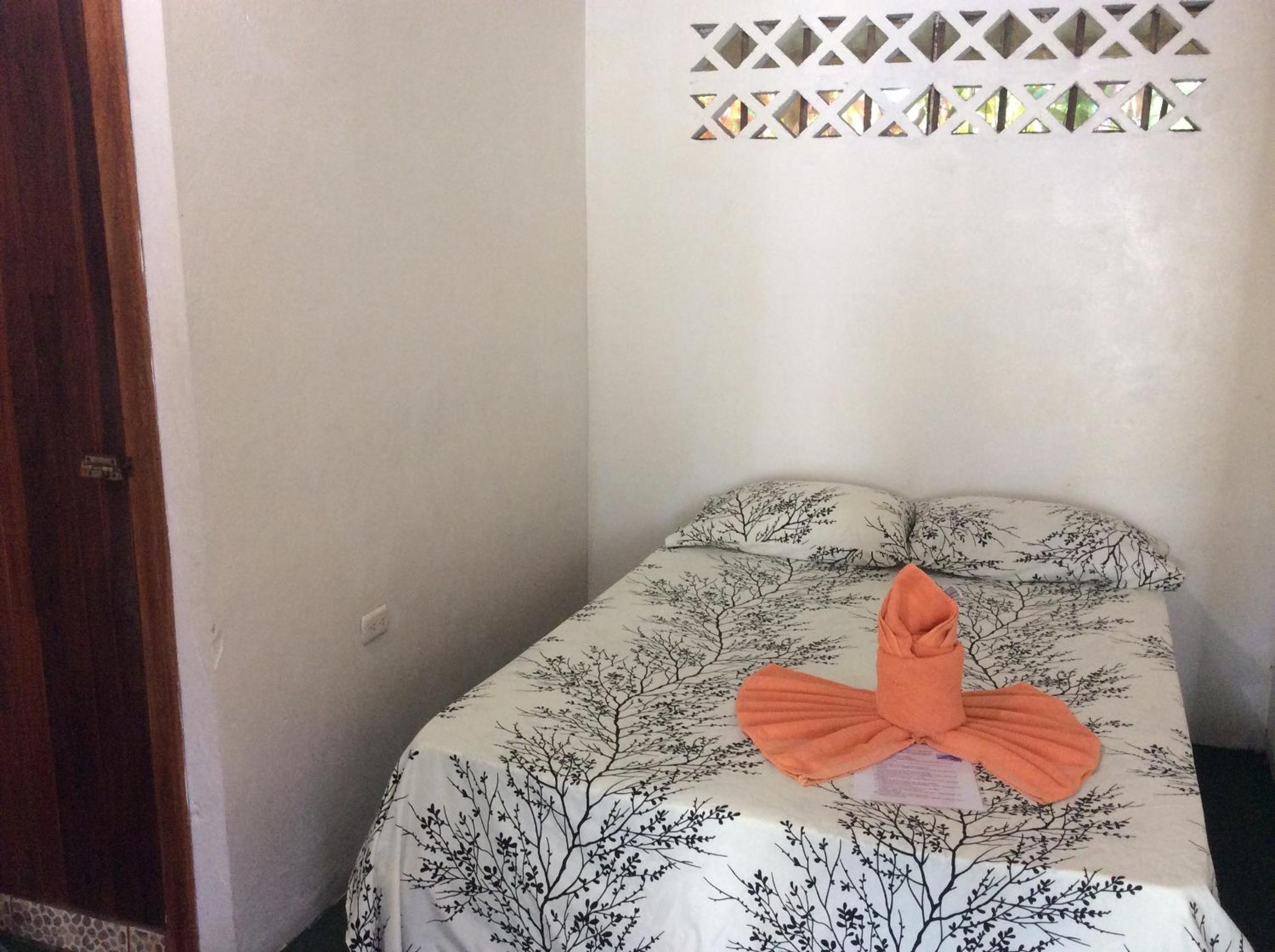 Twin Room photo 1