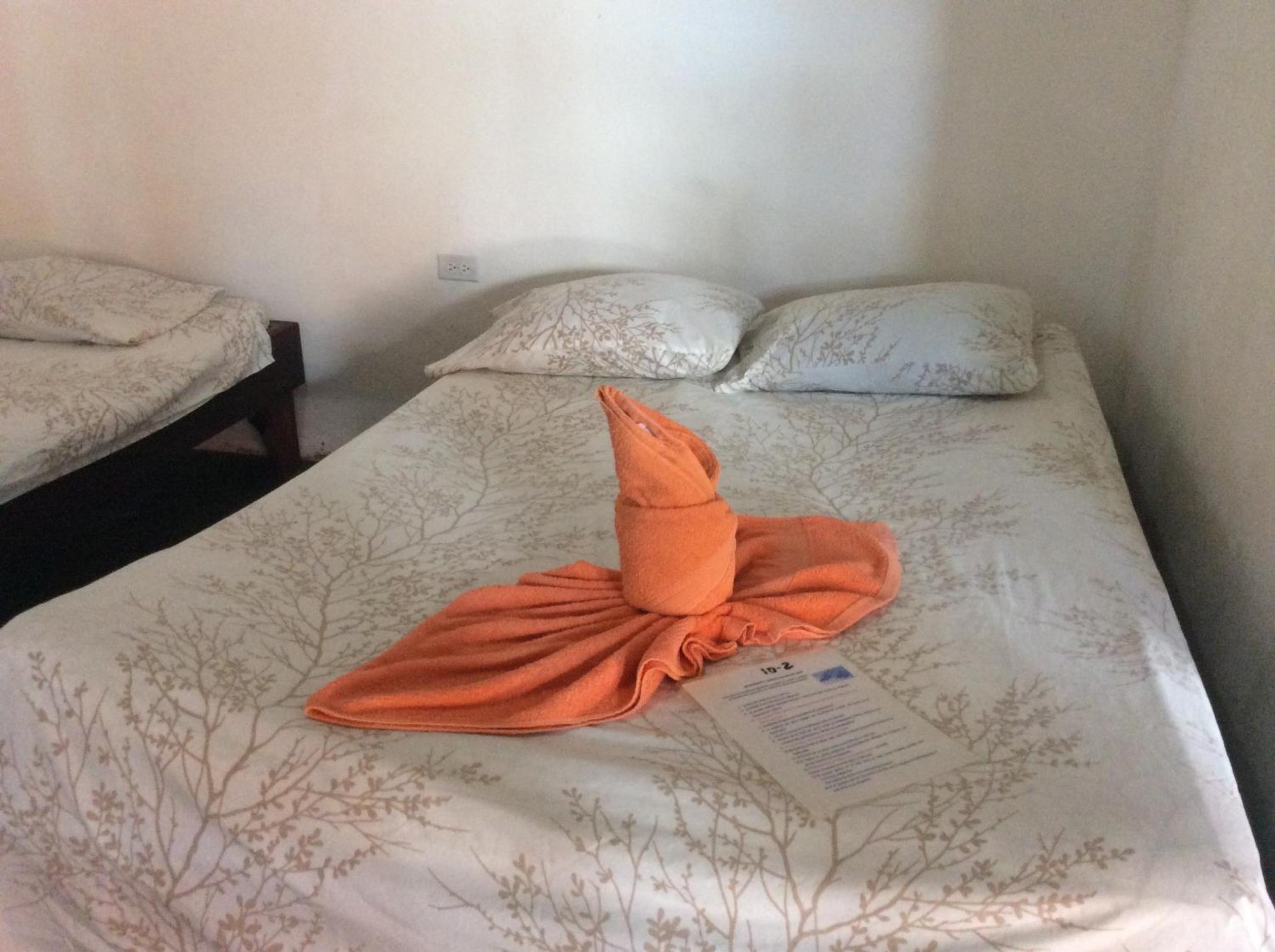Triple Room photo 3
