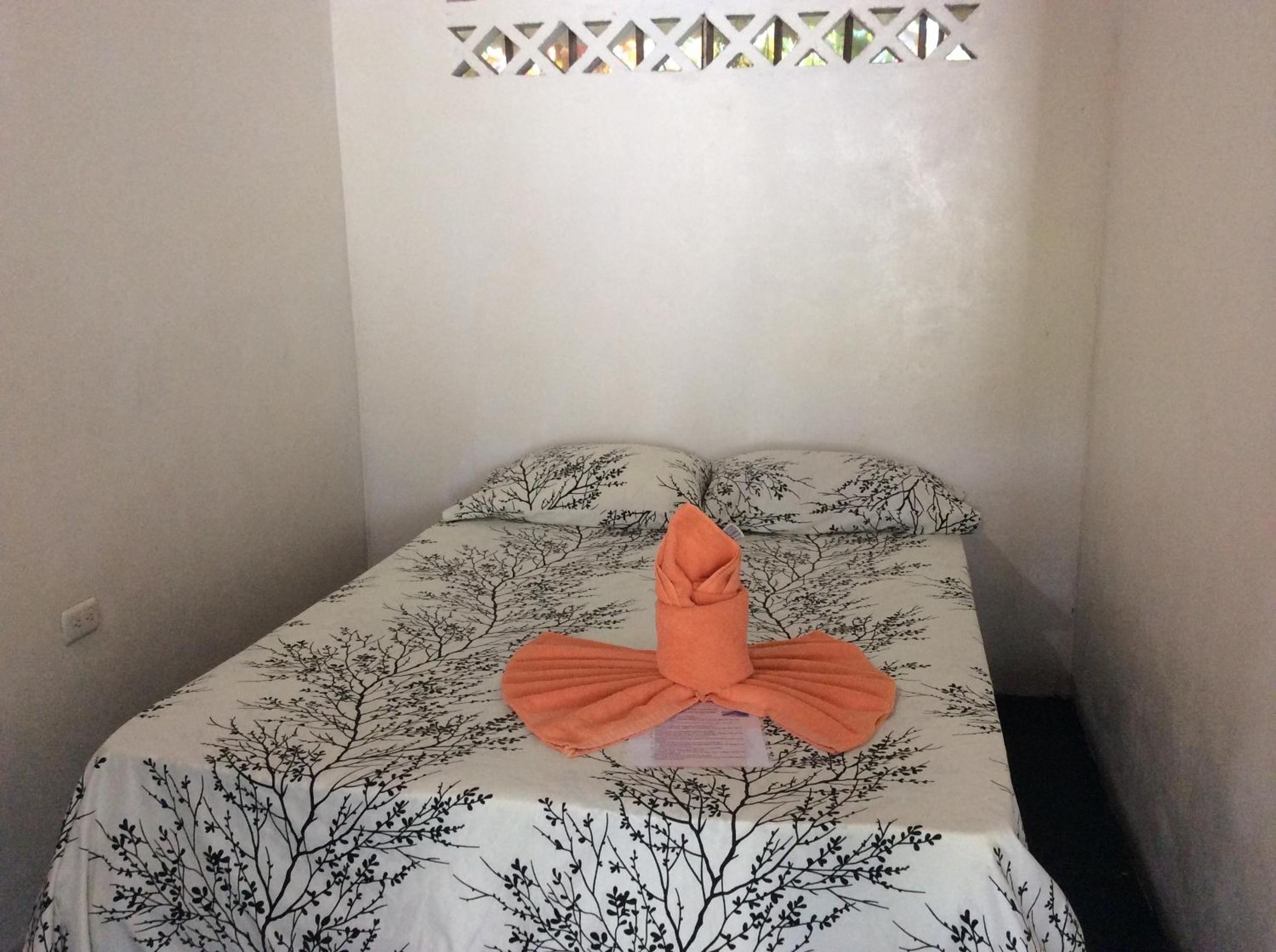 Twin Room photo 3