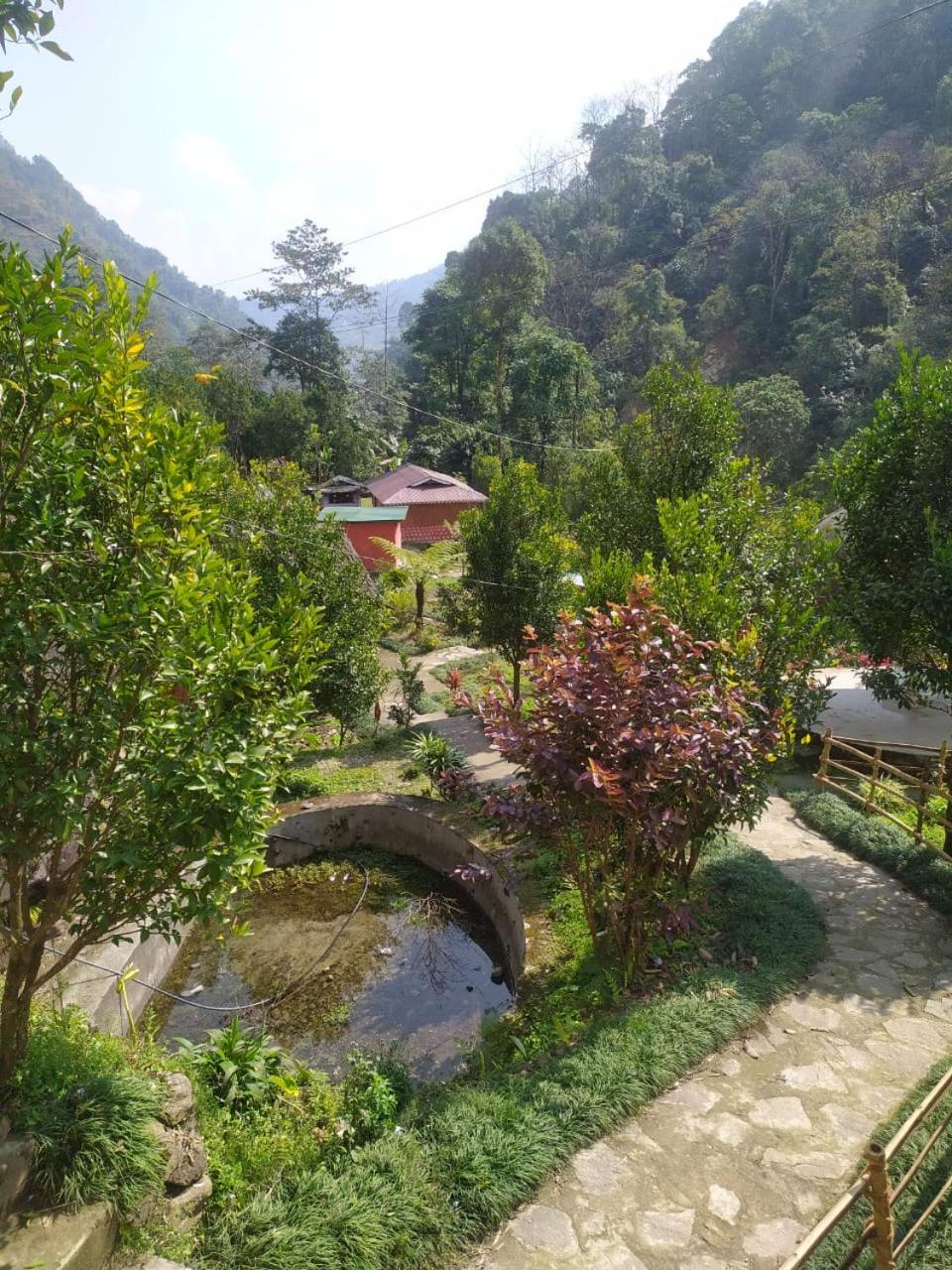 King Room with Garden View photo 2