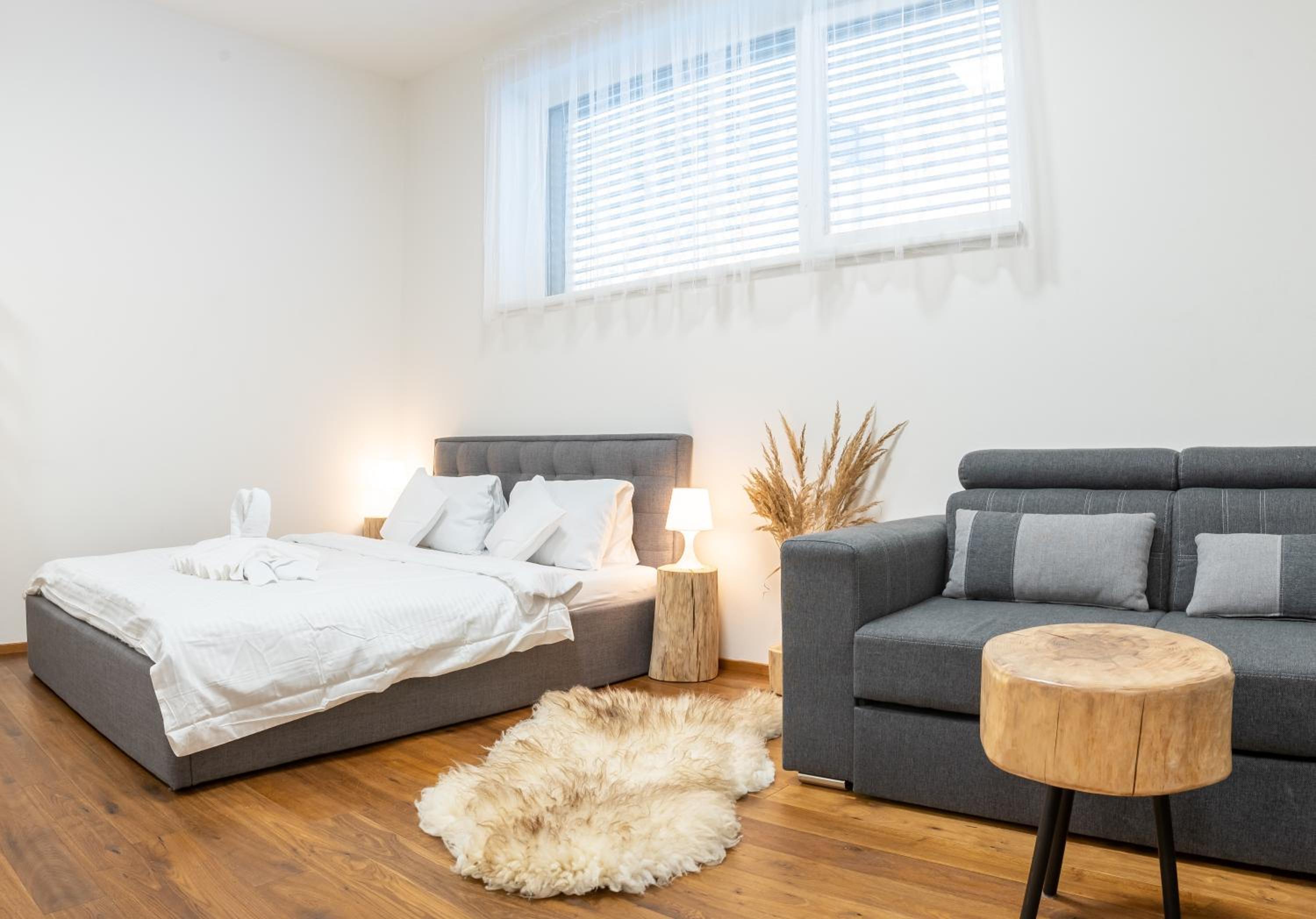 Studio Apartment photo 1