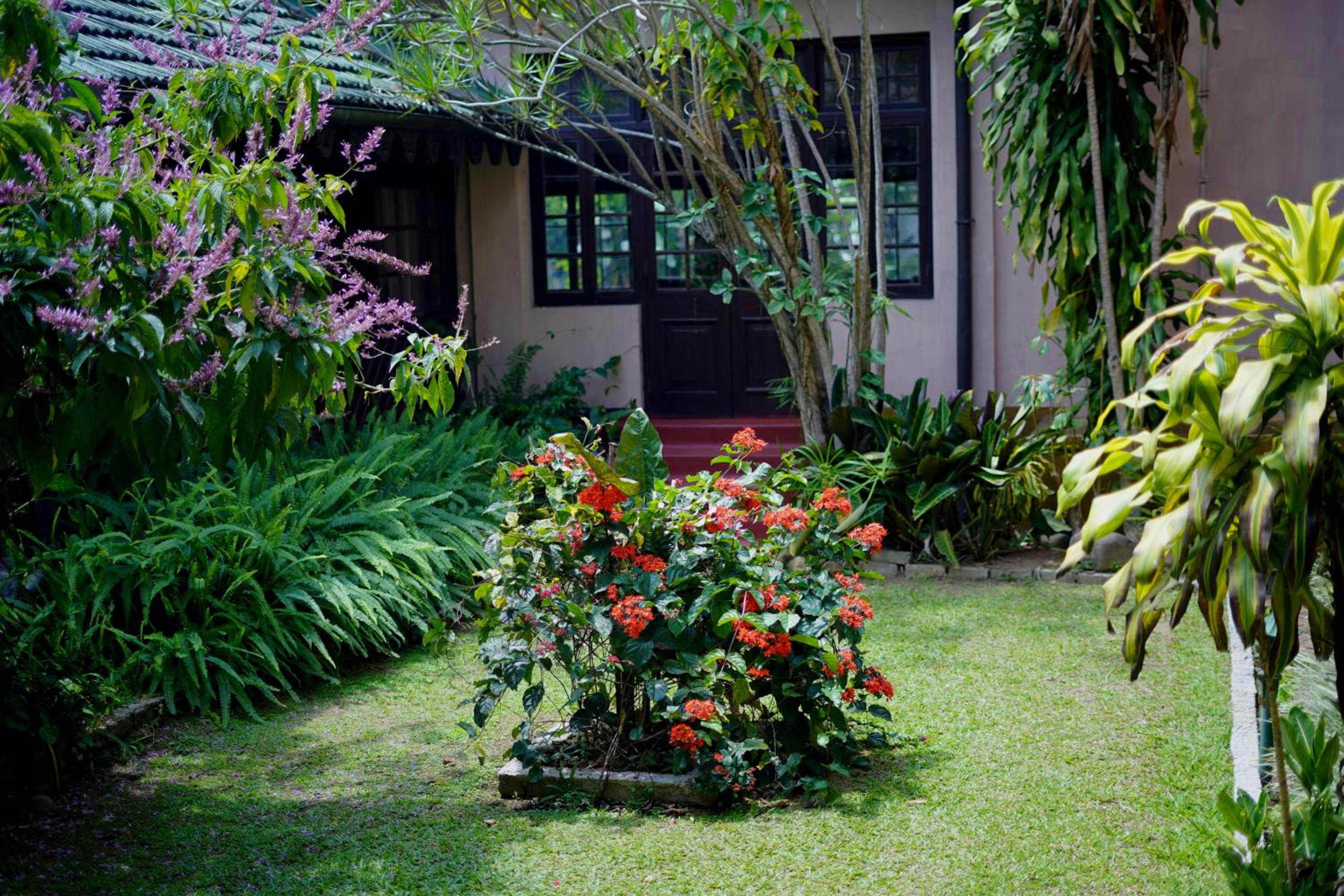 Deluxe Double Room + Early check-in/Late check-out on availability + FREE DROP off at Railway Station + 20% discount on Adisham Bungalow Excursion photo 3
