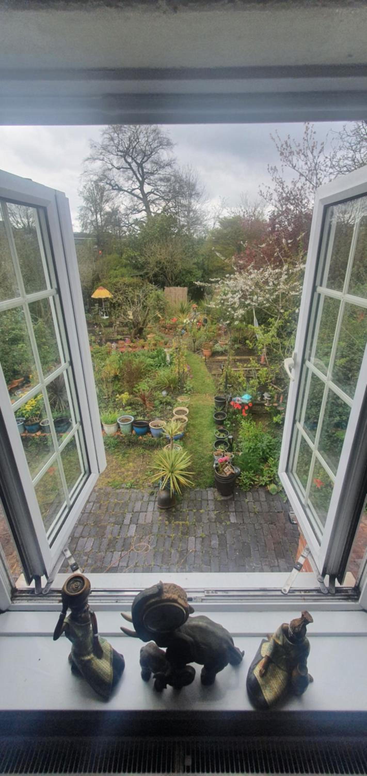 Family Room with Garden View - Photo 6