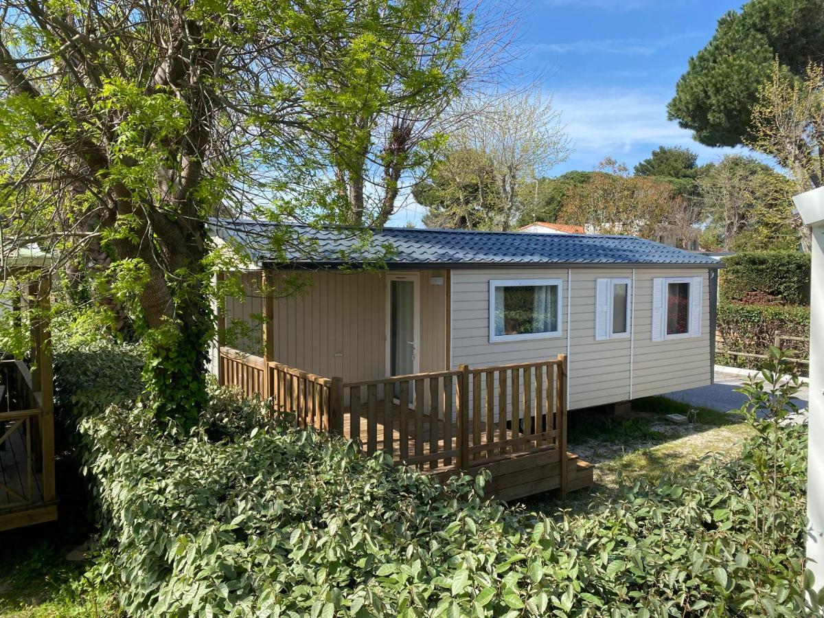 Mobile Home photo 1