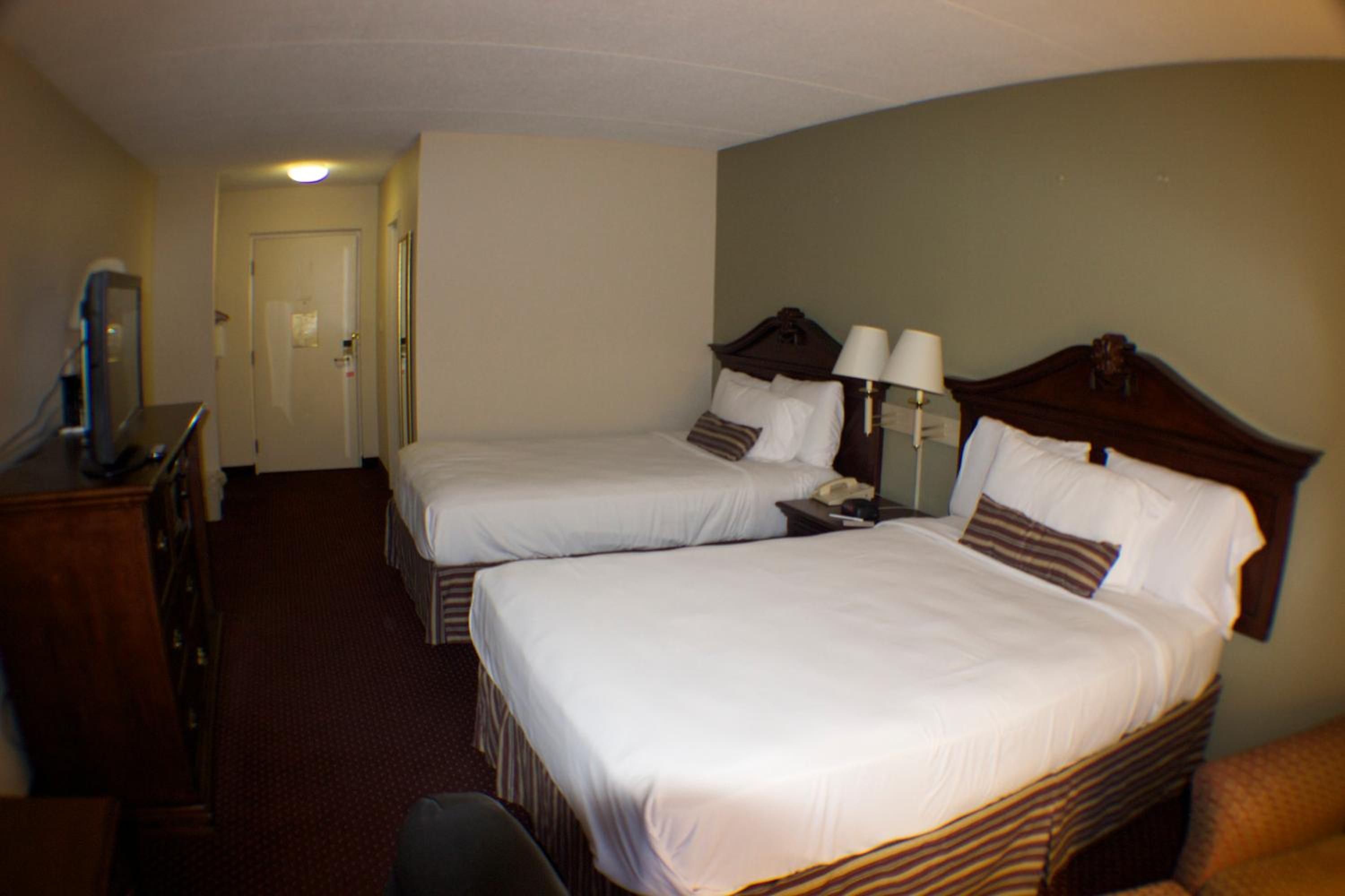 Double Room with Two Double Beds