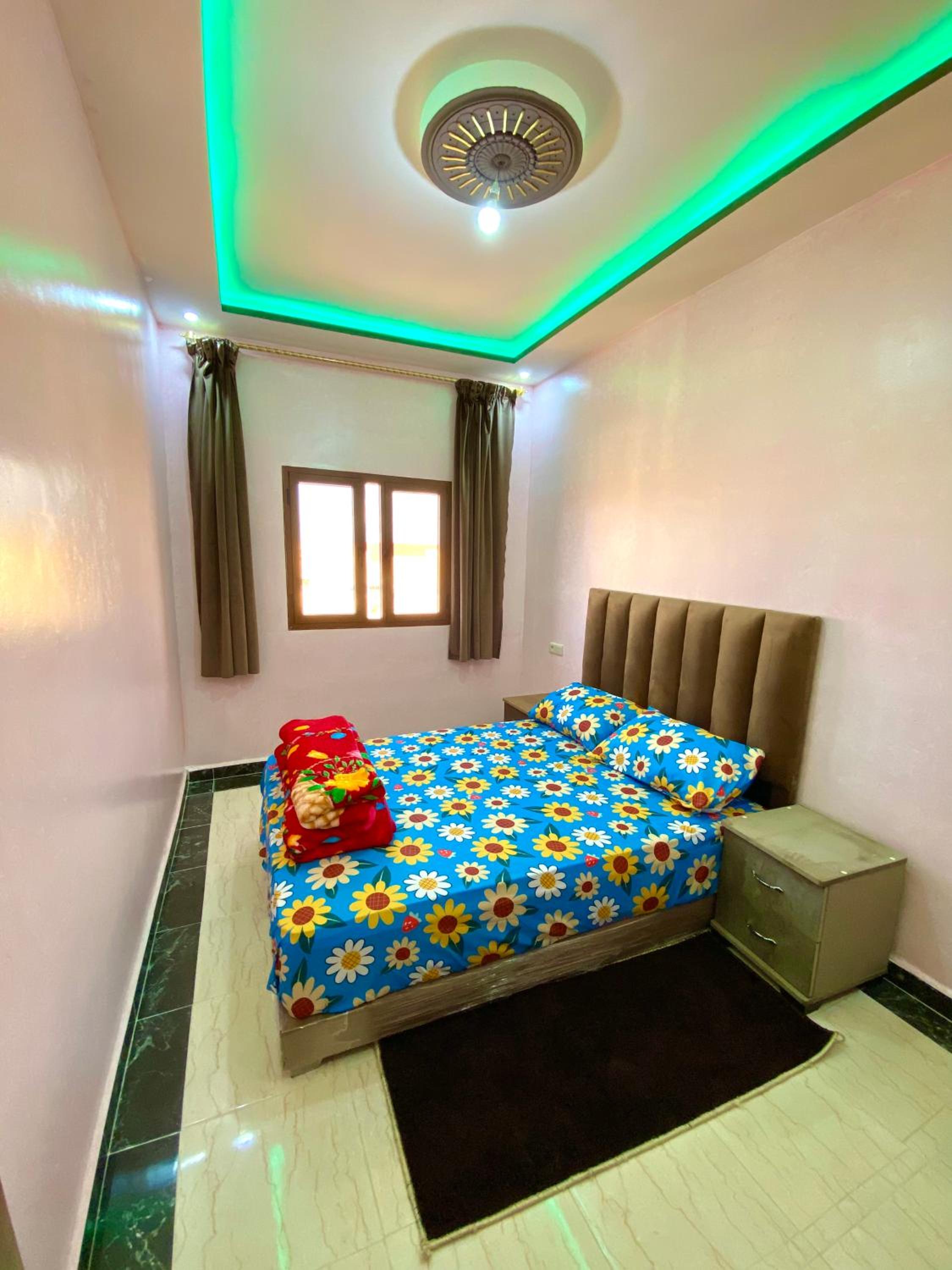 Standard Apartment - Photo 4