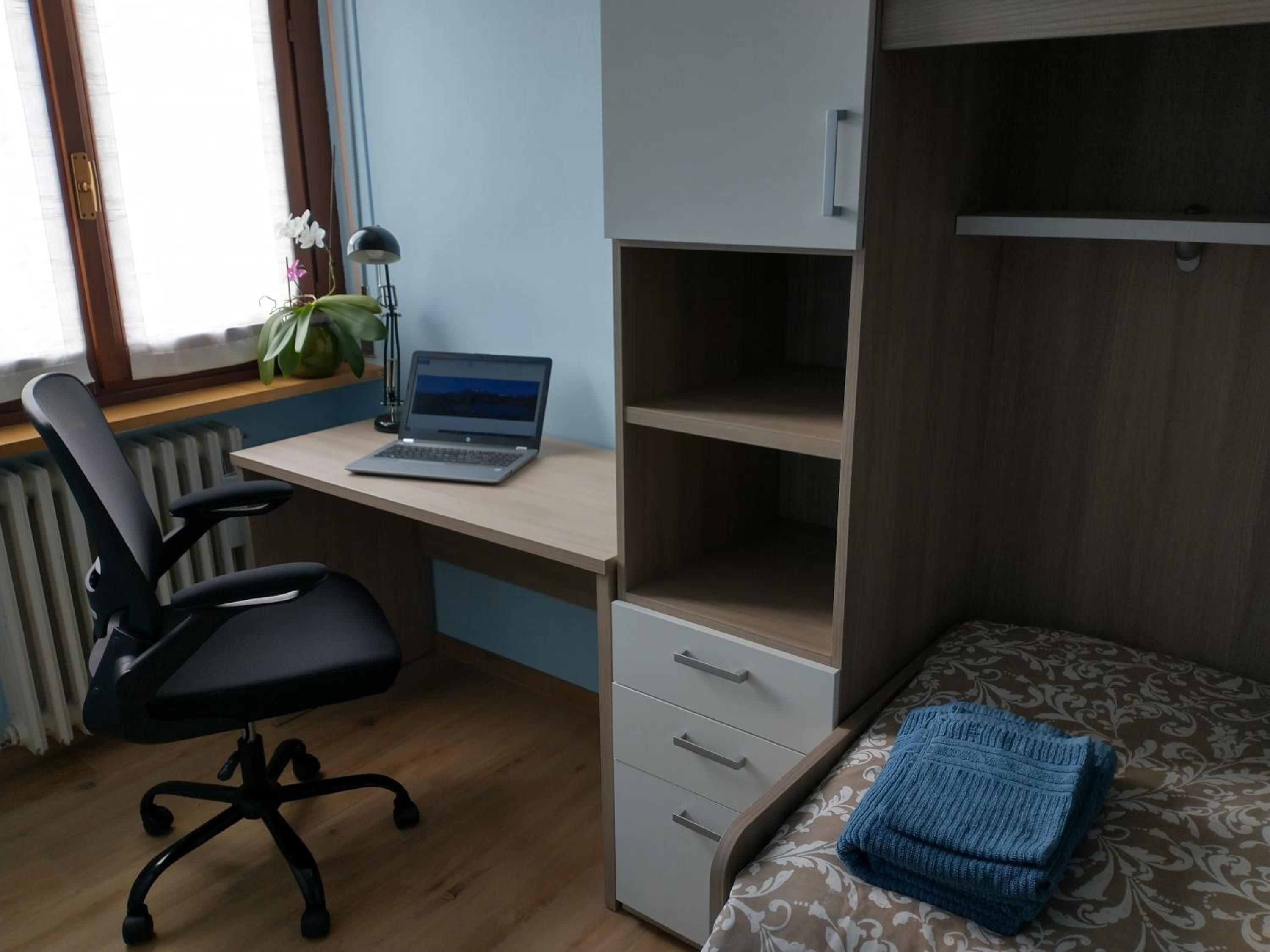 One-Bedroom Apartment photo 3