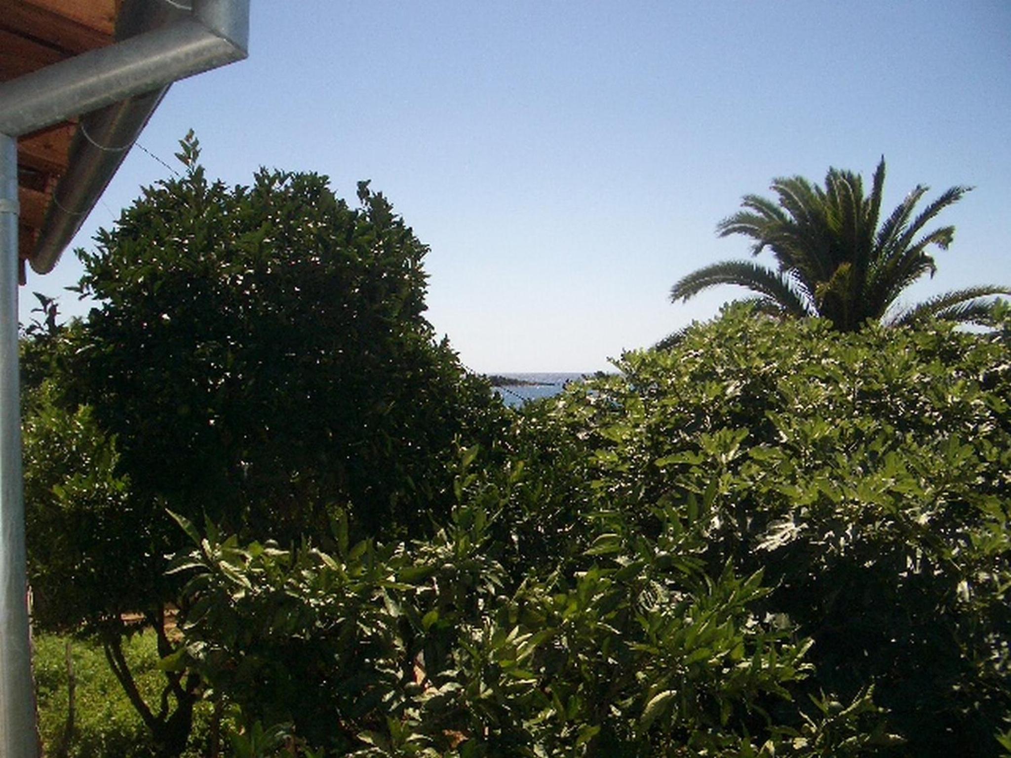 One Bedroom Apartment with Terrace and Sea View photo 3