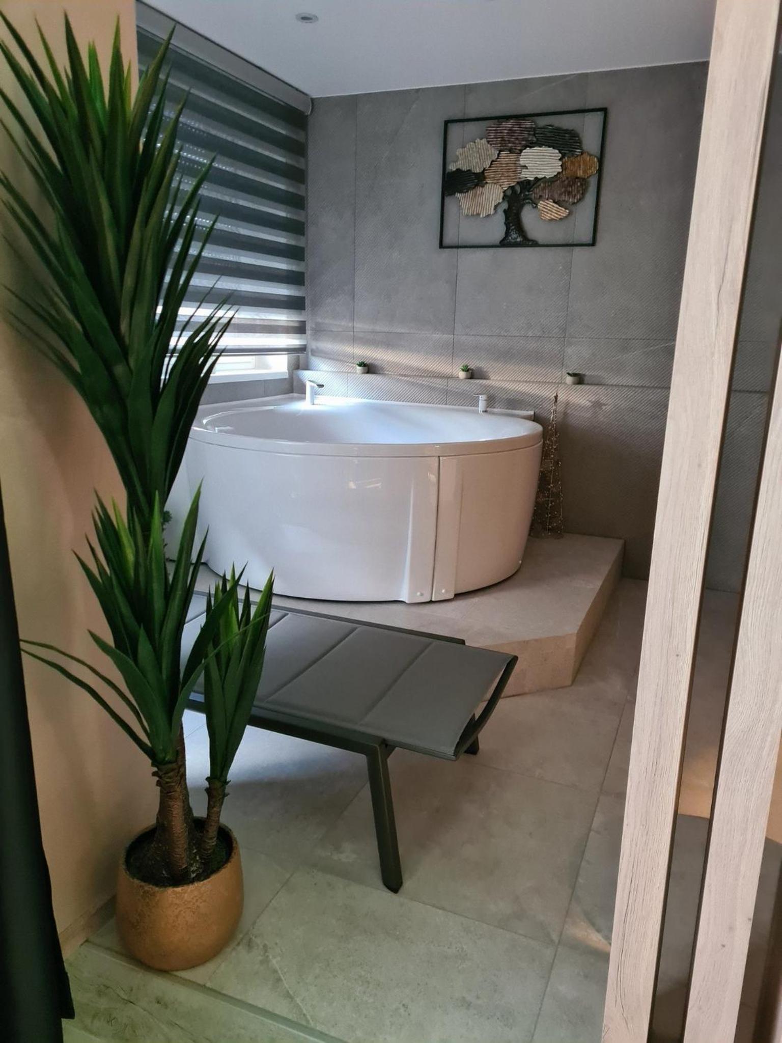 Studio Apartment with Terrace photo 3