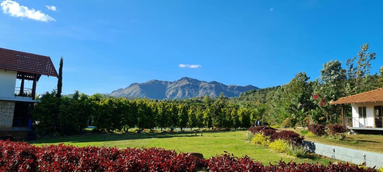 Family Room with Mountain View - Photo 9