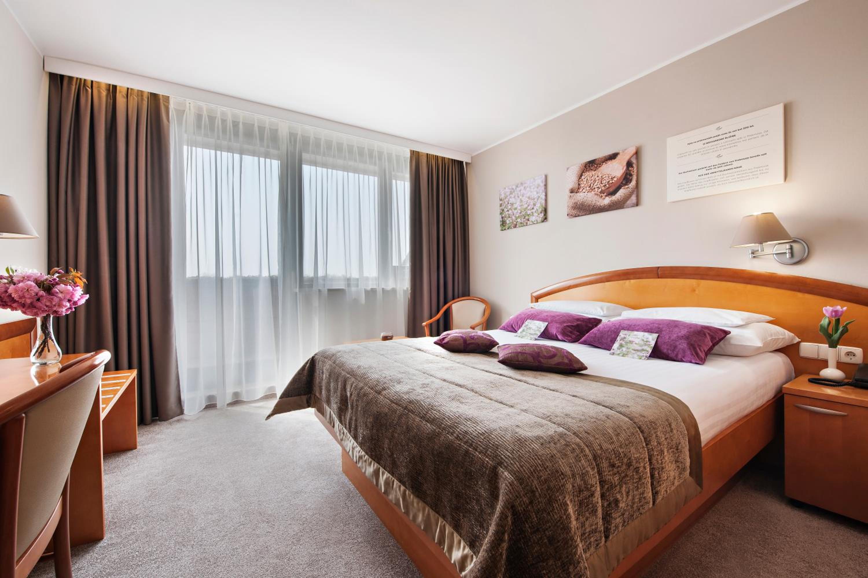 Economy Single Room