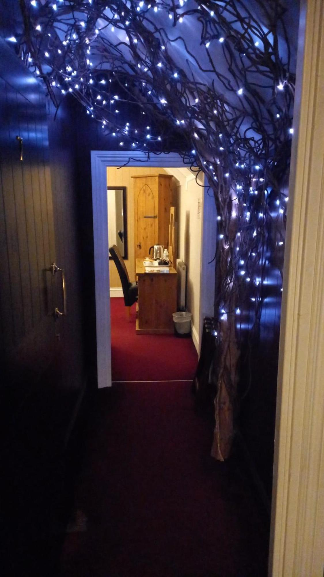Standard Double or Twin Room photo 2