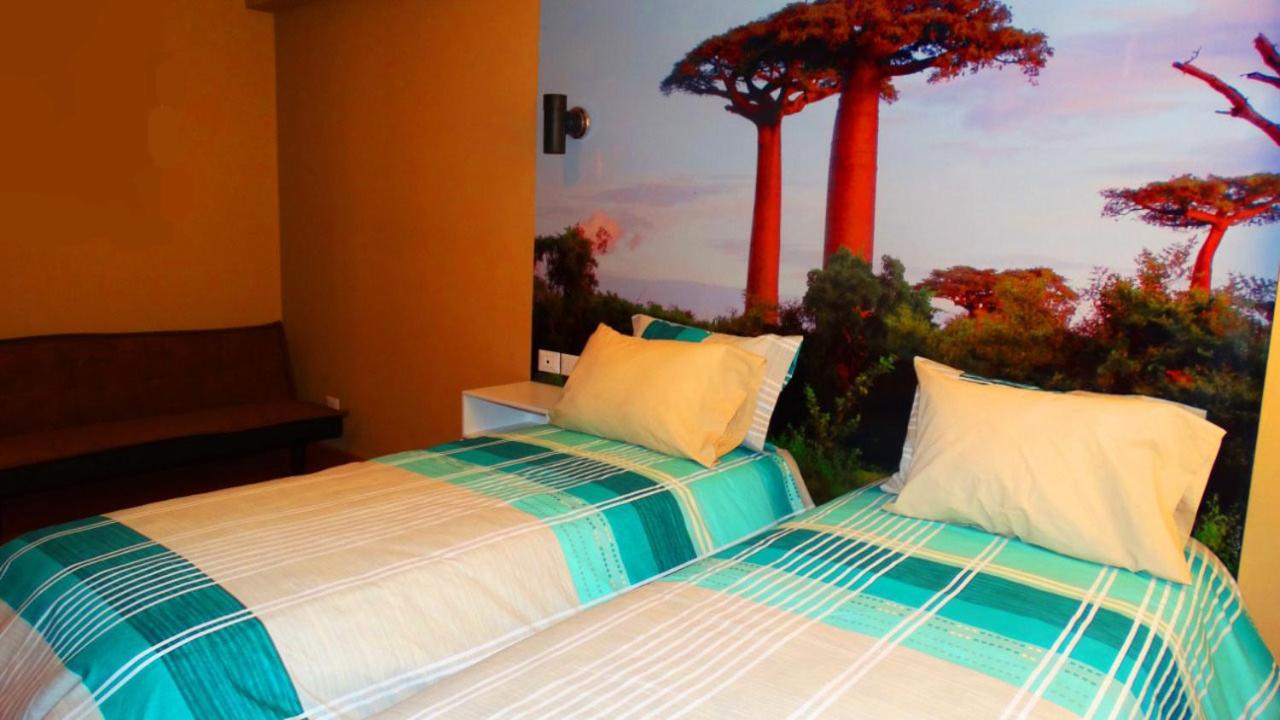 Twin Room photo 2