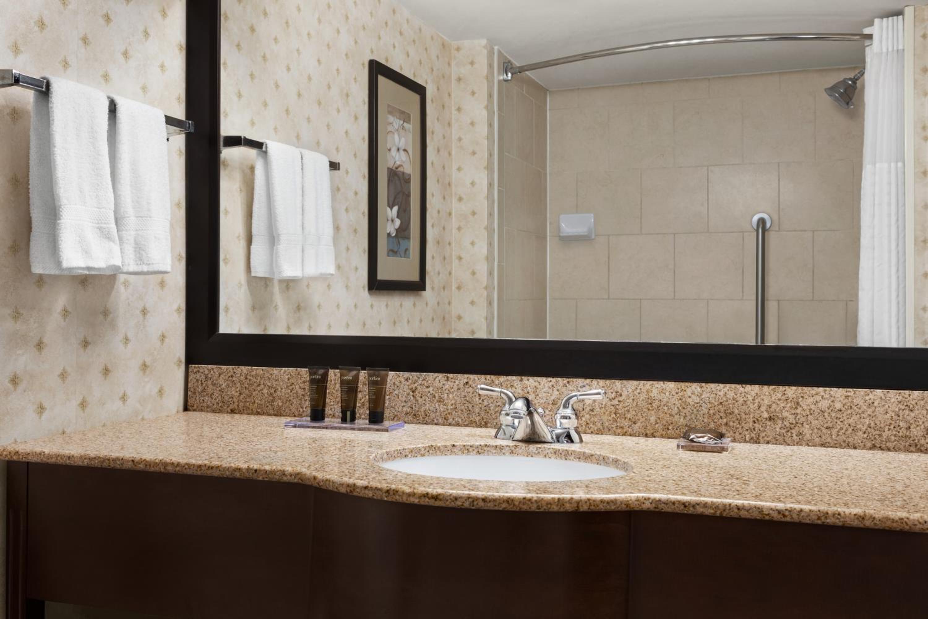 King Studio Suite - Non-Smoking - Photo 5