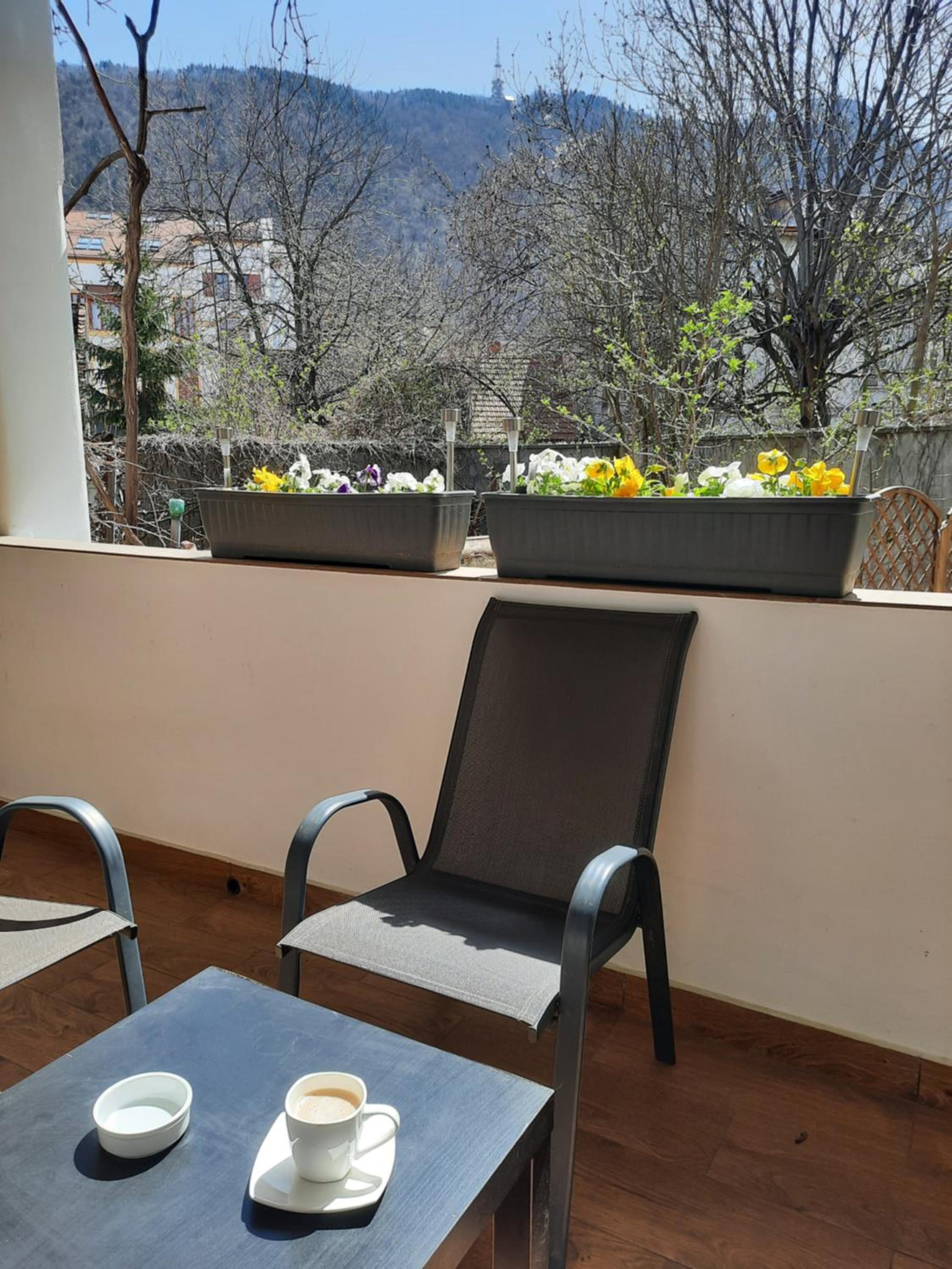Apartment with Terrace - Photo 19