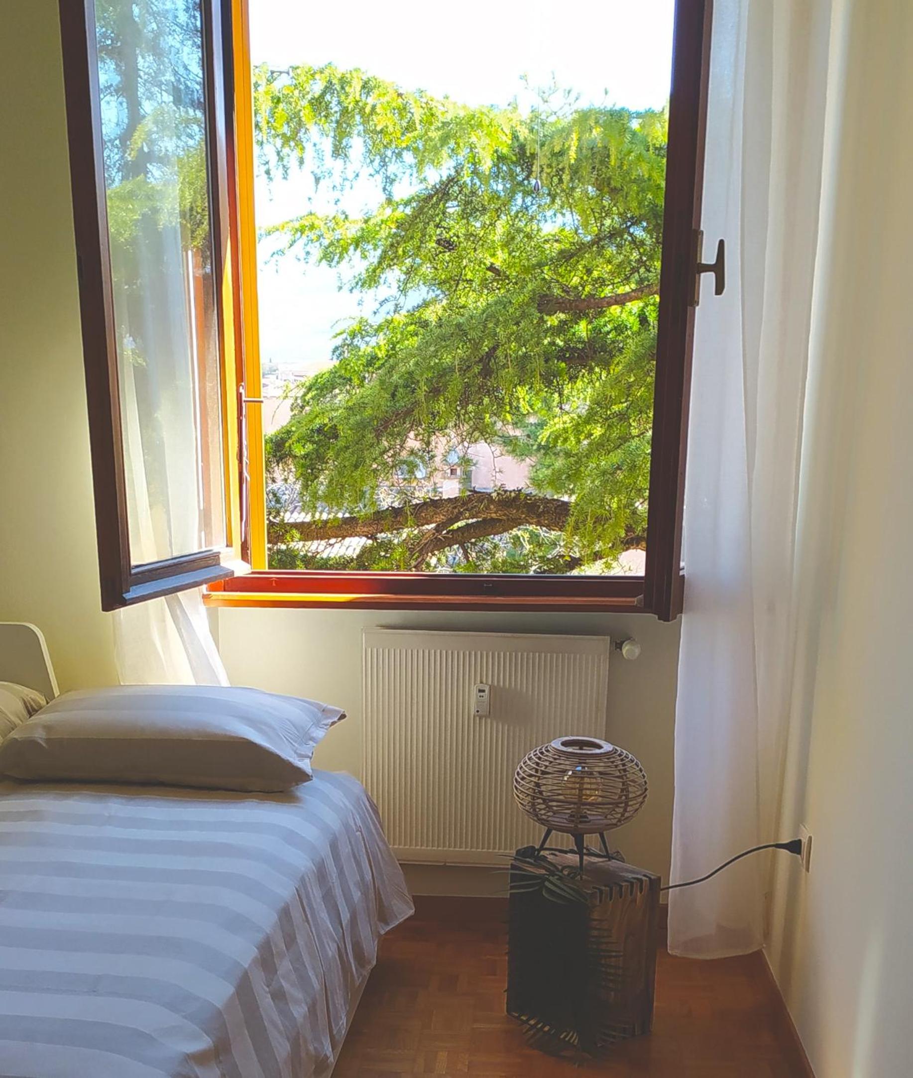 Single Room With Garden View photo 2