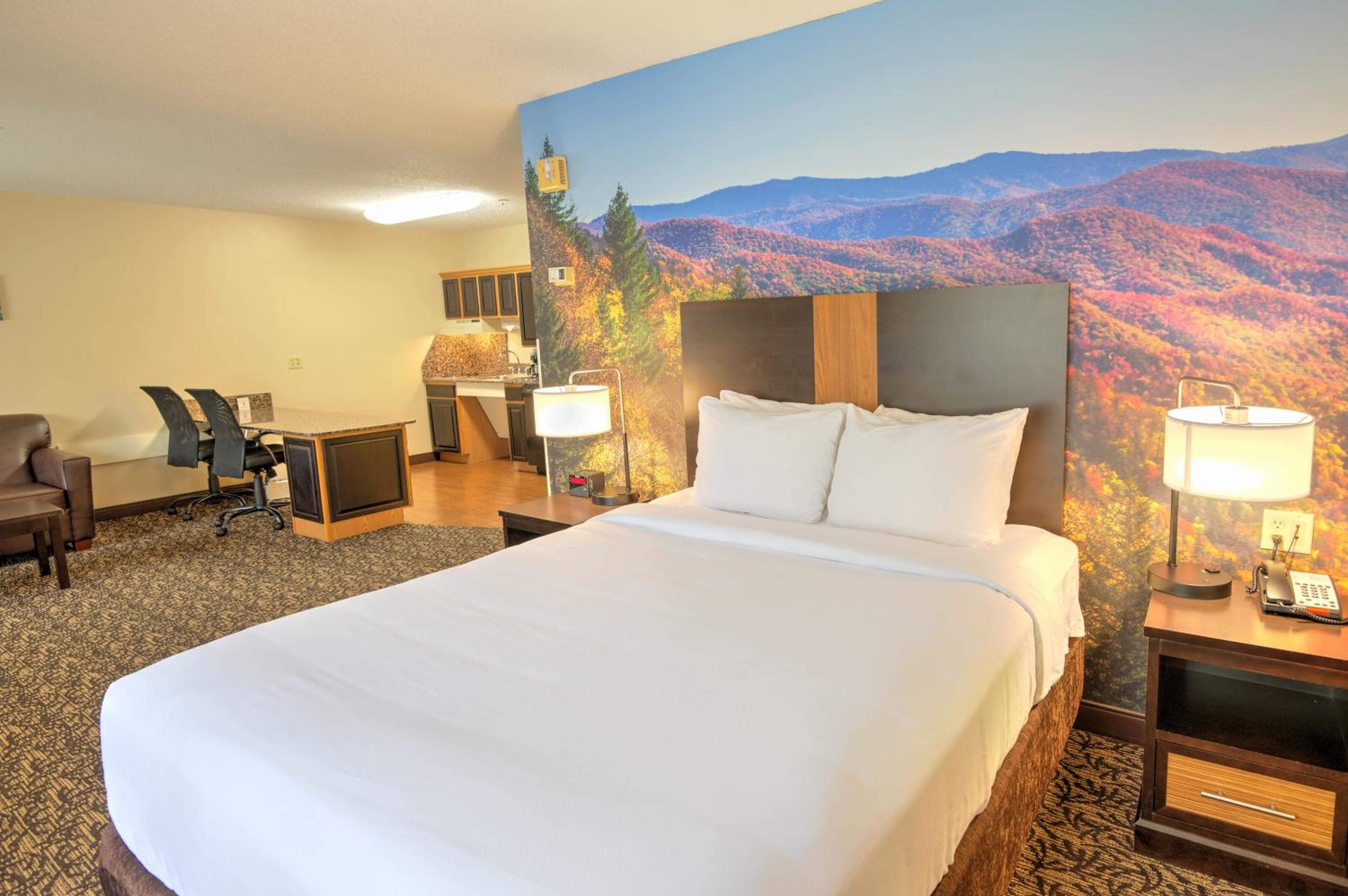 Queen Suite - Accessible/Non-Smoking - Photo 1