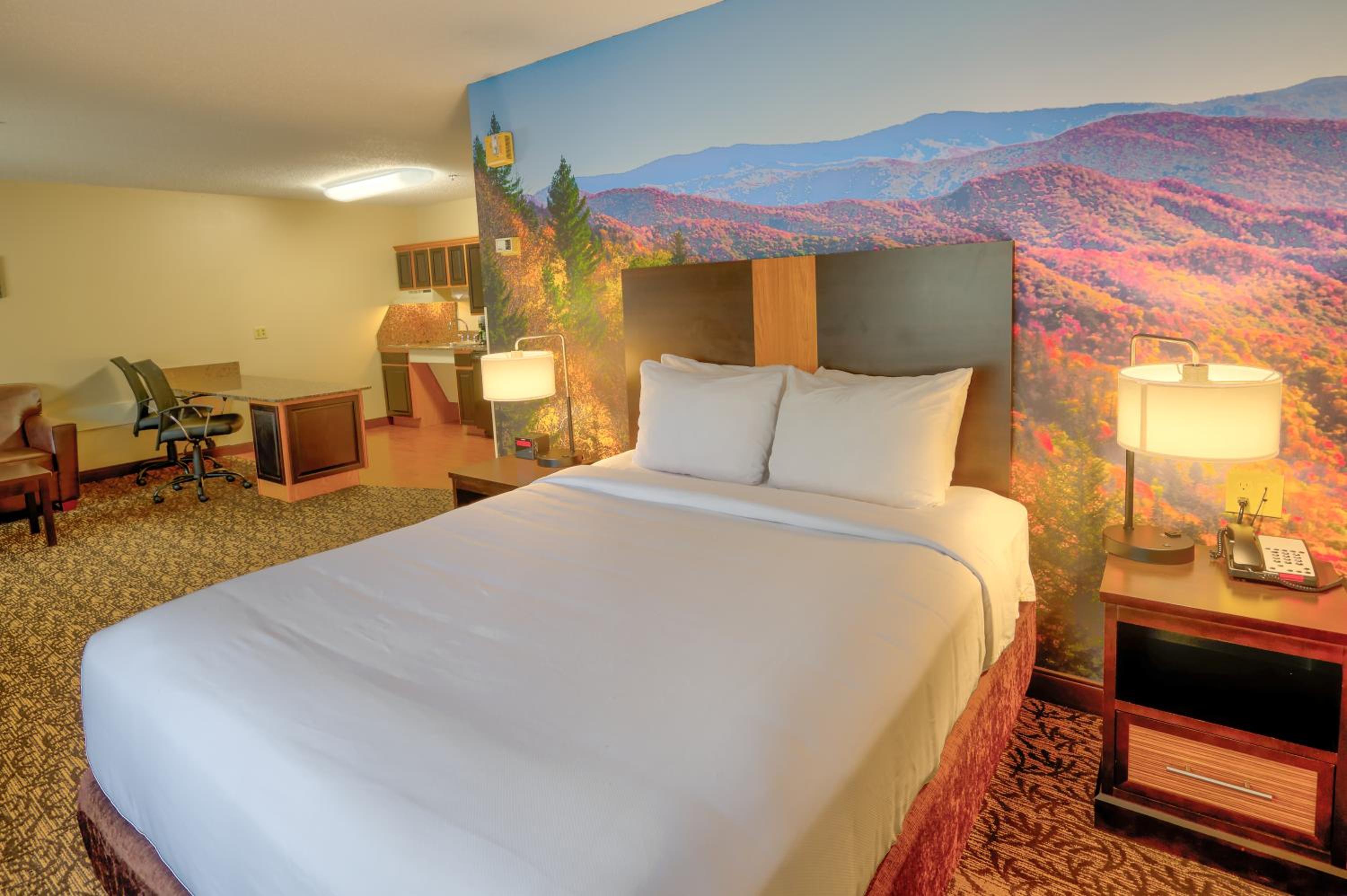 Queen Suite - Accessible/Non-Smoking - Photo 4